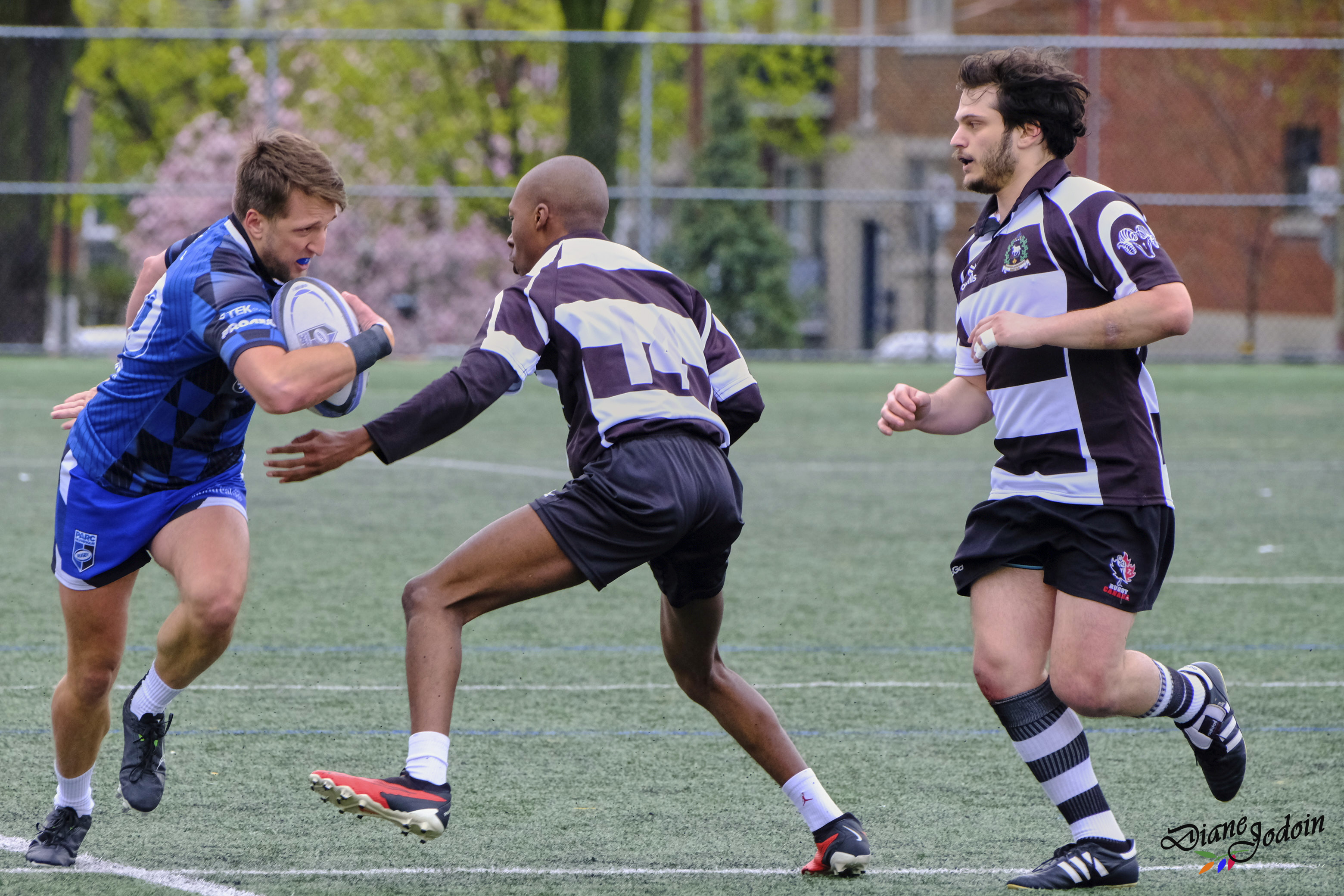  Parc Olympique Rugby - Rugby Club de Montréal - Rugby - RQ 2025 - Parc Olympique vs Rugby Club de Montréal - Reel Diane Jodoin (#RQ25PORRCMDJ5) Photo by: Diane Jodoin | Siuxy Sports 2025-05-10