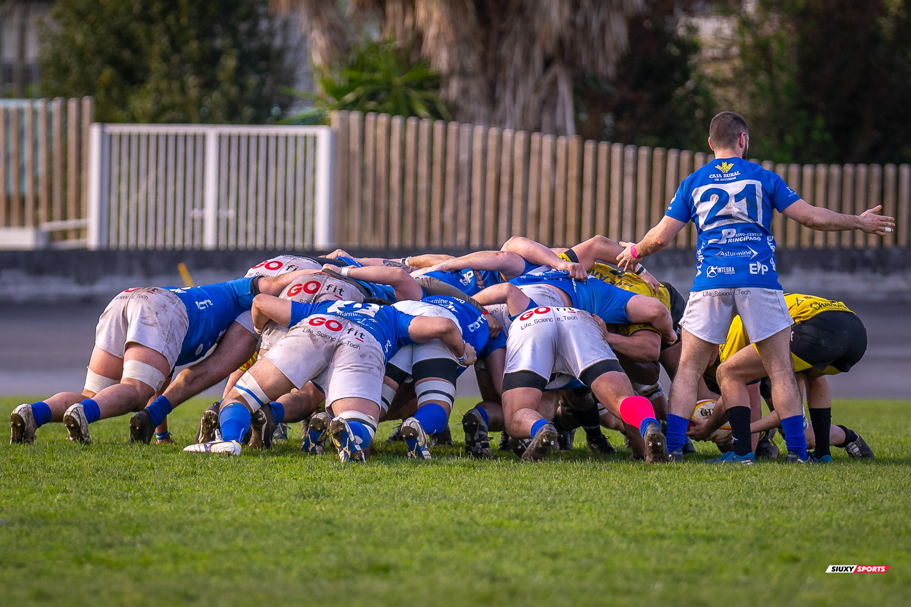  Getxo Artea Rugby Taldea - Real Oviedo Rugby - Rugby - FER 2025 - DHB - Getxo RT (43) vs (19) Oviedo (#FER25DHBGRTOVI03) Photo by: Fredy Monfoto | Siuxy Sports 2025-03-29