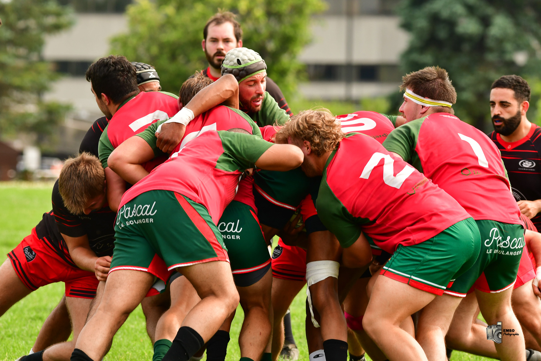  Club de Rugby de Québec - Rugby Club de Montréal - Rugby - RQ 2025 - SL R M - CRQ (5) vs (31) RCM (#RQ25SLRMCRQM7) Photo by: emso photo | Siuxy Sports 2025-07-12