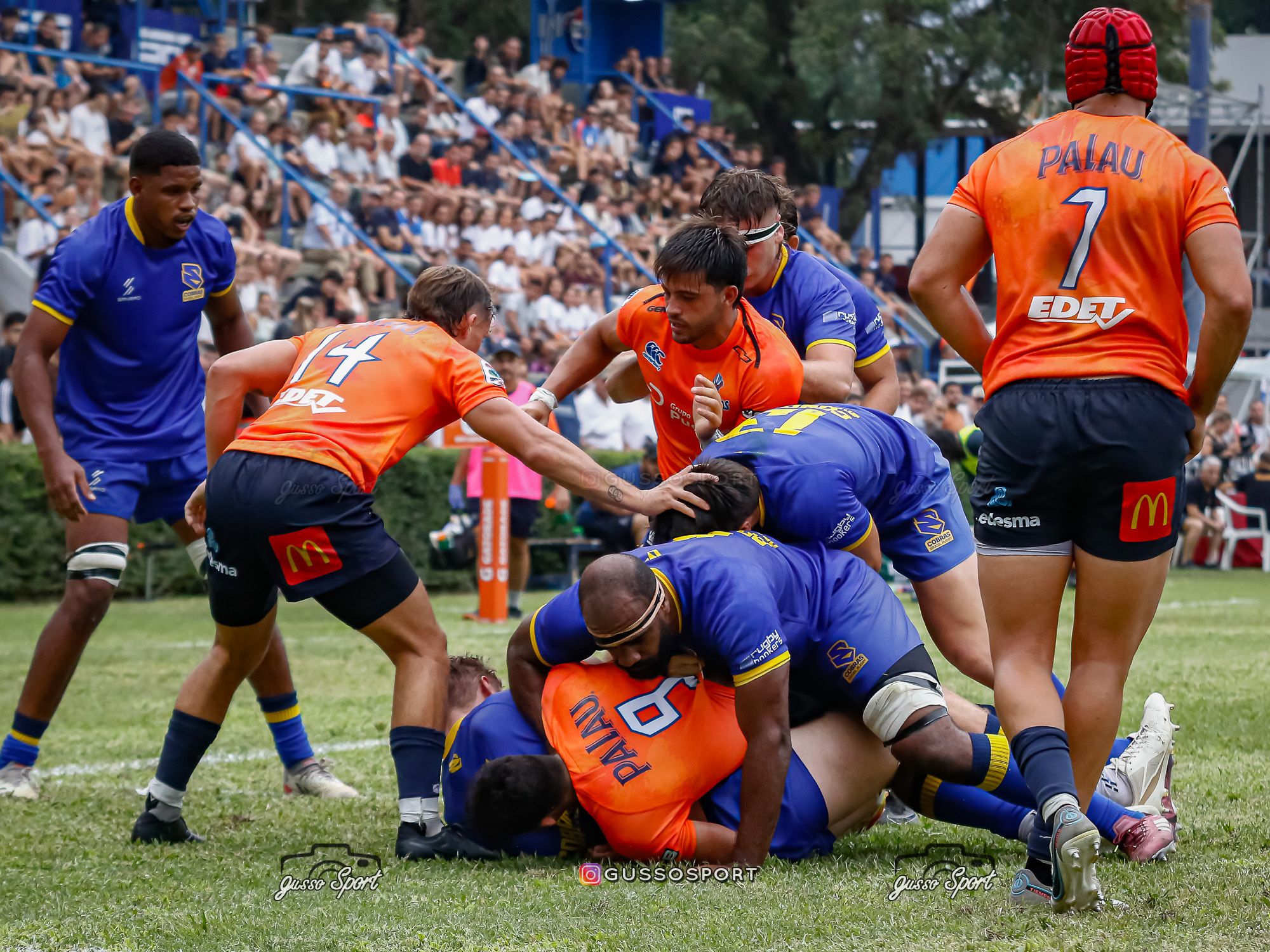  Tarucas - Cobras - Rugby - SRA 2025 - Fecha 1 - Tarucas (45) vs (6) Cobras (Reel 2) (#SRA25TARCOB22) Photo by: Gustavo Sosa | Siuxy Sports 2025-02-15