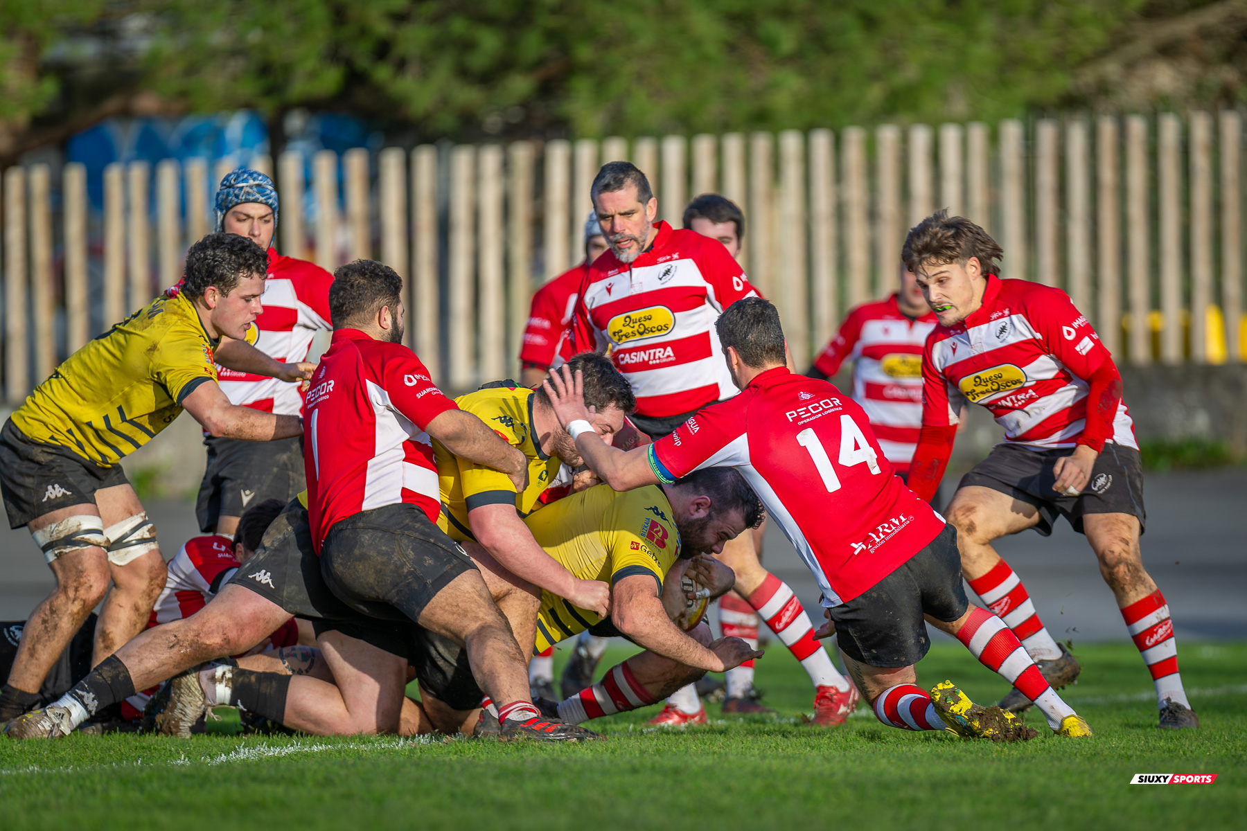  Getxo Artea Rugby Taldea - Gijon Rugby Club - Rugby - FER 2025 - DHB - Getxo RT (108) vs (0) Gijon RC (#FER25DHBGRTGRC1) Photo by: Fredy Monfoto | Siuxy Sports 2025-01-11