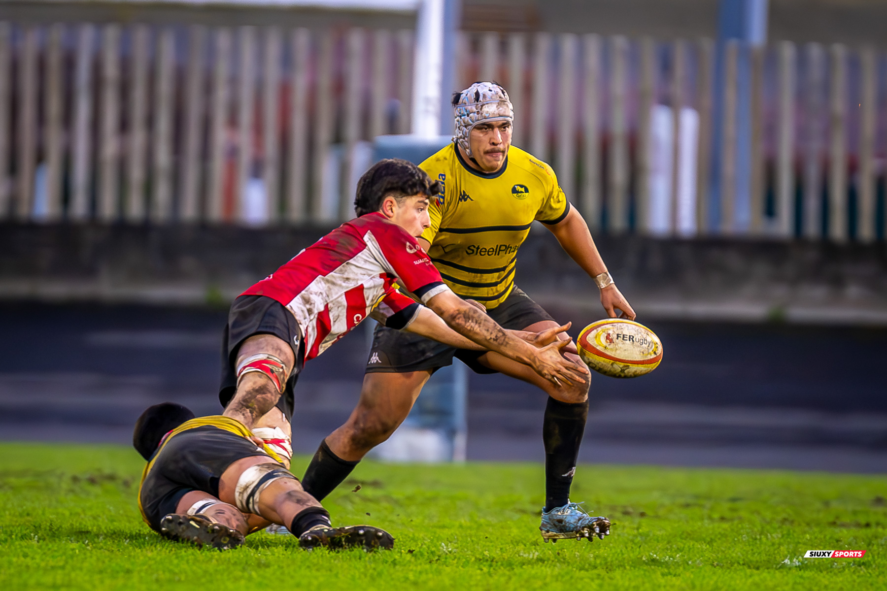  Getxo Artea Rugby Taldea - Gijon Rugby Club - Rugby - FER 2025 - DHB - Getxo RT (108) vs (0) Gijon RC (#FER25DHBGRTGRC1) Photo by: Fredy Monfoto | Siuxy Sports 2025-01-11