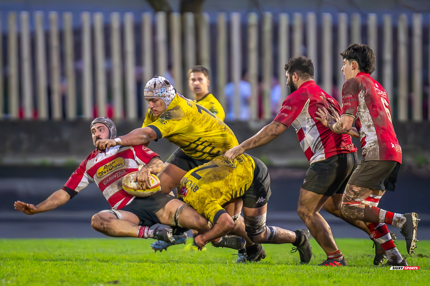  Getxo Artea Rugby Taldea - Gijon Rugby Club - Rugby - FER 2025 - DHB - Getxo RT (108) vs (0) Gijon RC (#FER25DHBGRTGRC1) Photo by: Fredy Monfoto | Siuxy Sports 2025-01-11
