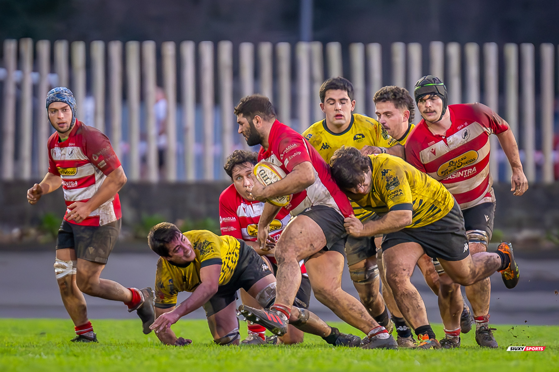  Getxo Artea Rugby Taldea - Gijon Rugby Club - Rugby - FER 2025 - DHB - Getxo RT (108) vs (0) Gijon RC (#FER25DHBGRTGRC1) Photo by: Fredy Monfoto | Siuxy Sports 2025-01-11