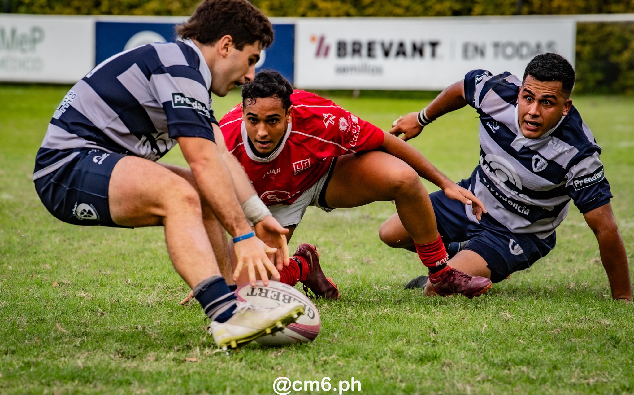  Universitario Rugby Club - Tucuman - Los Tarcos Rugby Club - Rugby - URT 2025 - 1ra e Inter - Universitario vs Tarcos (#URT251INUNITAR5) Photo by: Christian Mas | Siuxy Sports 2025-05-03