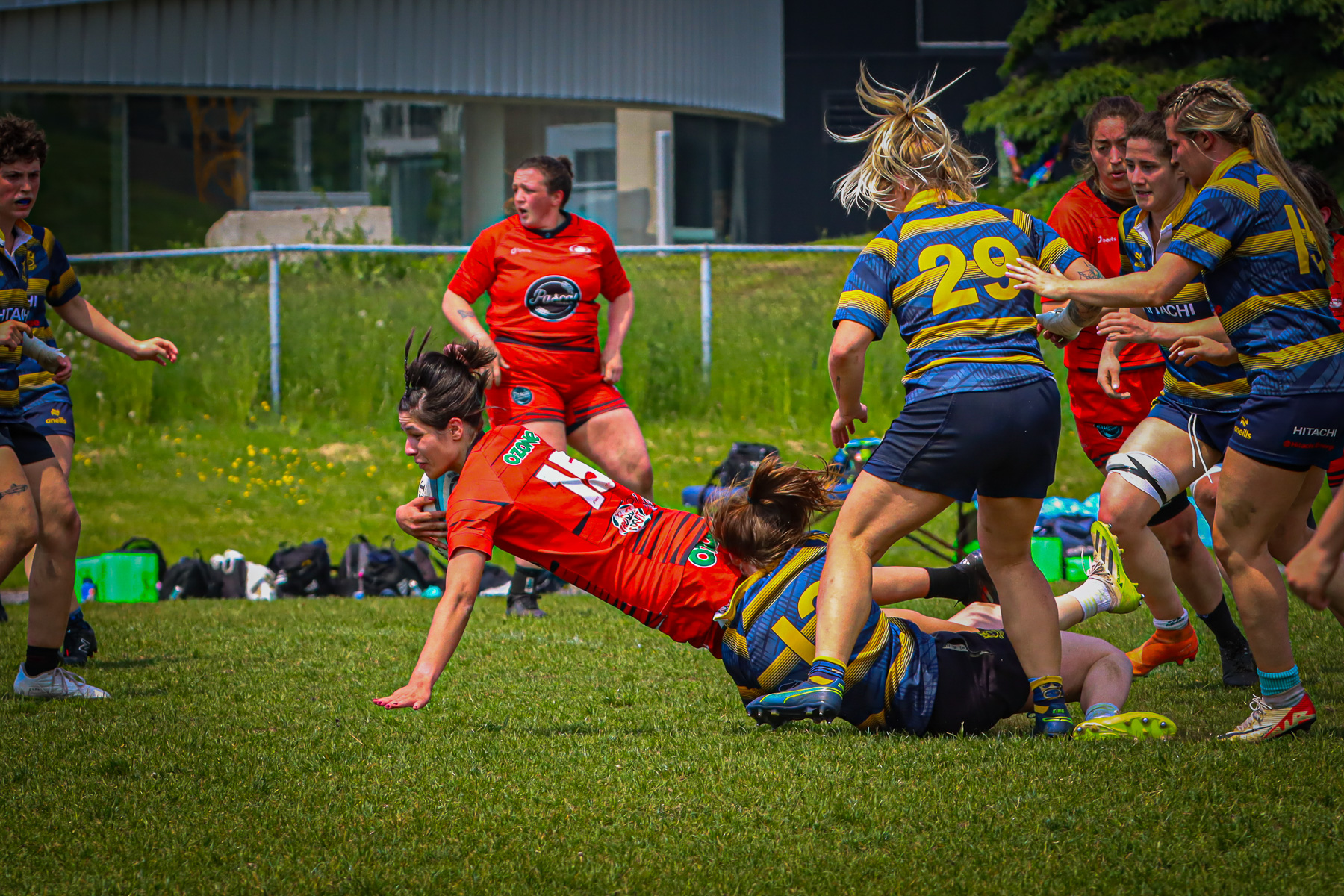  Club de Rugby de Québec - Town of Mount Royal RFC - Rugby - RQ 2025 - SL F - Club de Rugby de Québec (54) vs (12) TMR (#RQ25SLFQCTMR6) Photo by: Photo Mayarts | Siuxy Sports 2025-06-07