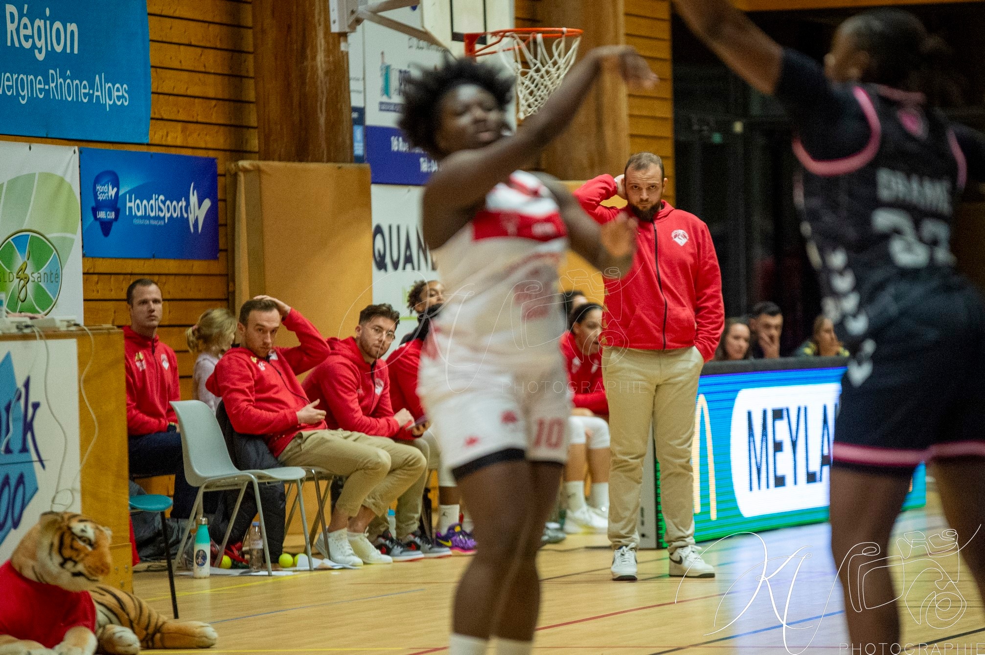  BC Tronche Meylan - Toulouse Métropole Basket - Basketball - FFB 2025 - BCTM vs Toulousse (#FFBB25BCTMTMB) Photo by: Karine Valentin | Siuxy Sports 2025-01-12