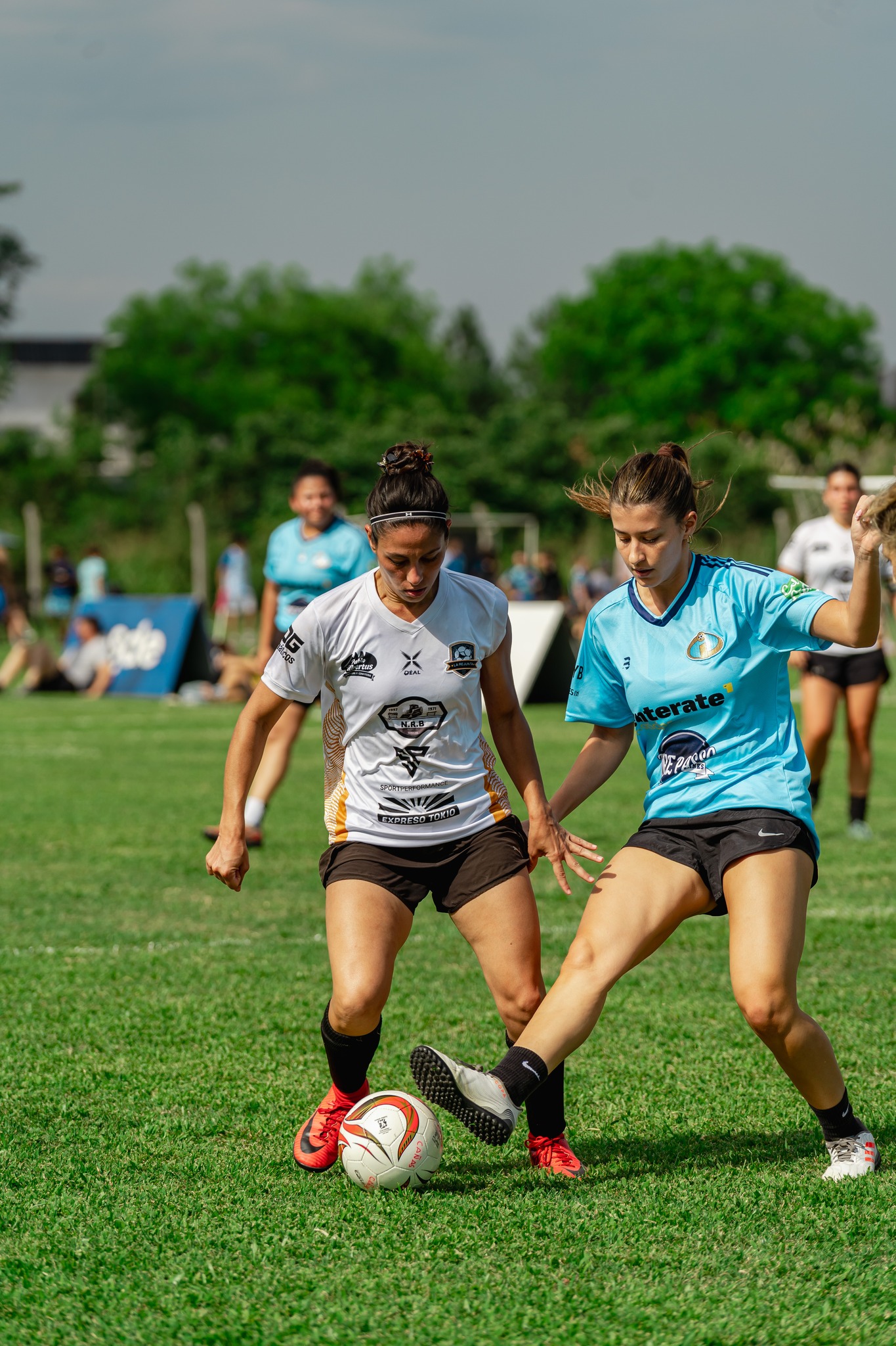  Equipo 0055 -  - Soccer - TLCF 2024 - Futbol - 13a Fecha Torneo Clausura 2024 B (#TLCF24F13TCB) Photo by:  | Siuxy Sports 2024-11-16