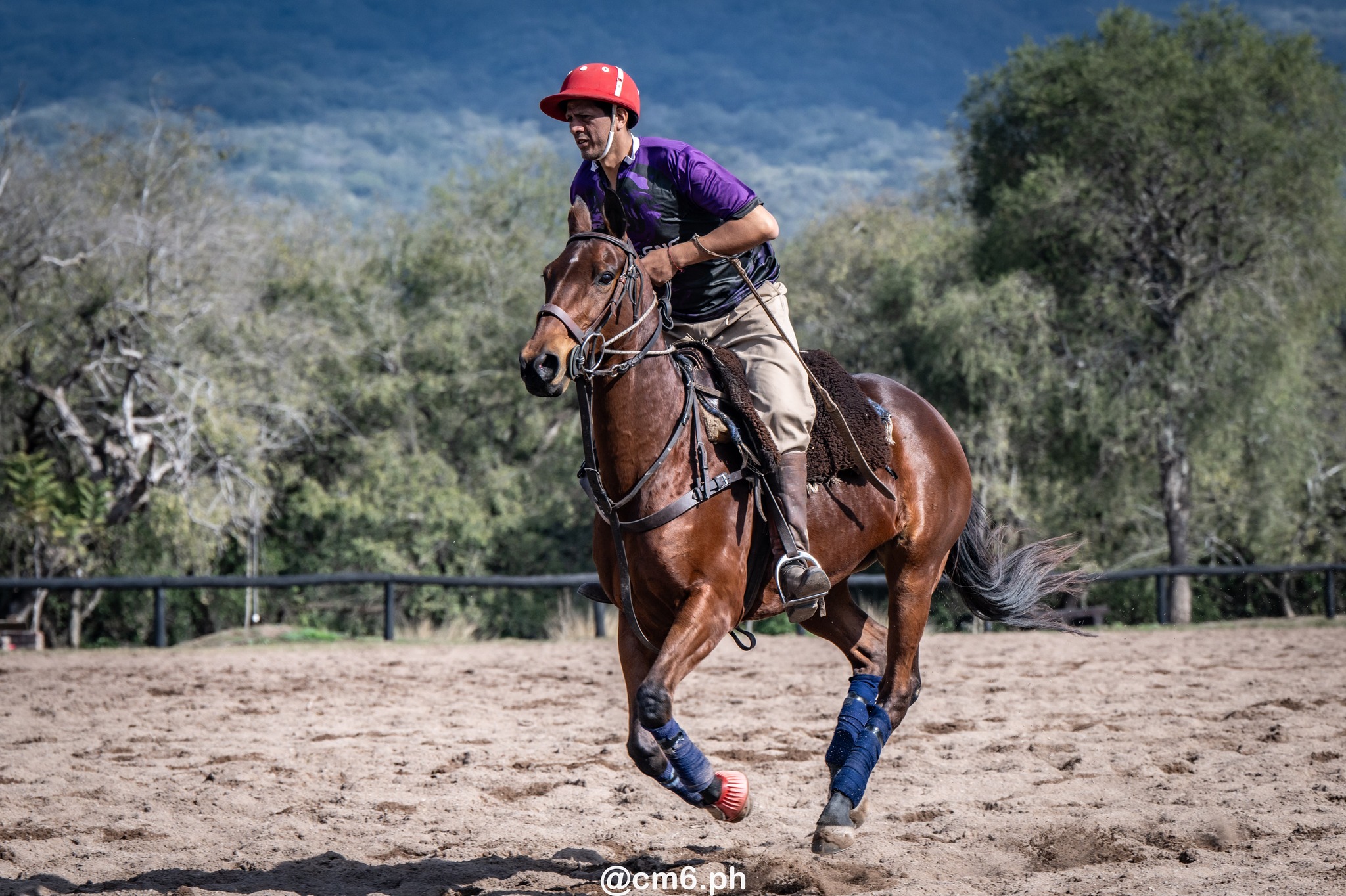   -  - Pato - Torneo Nacional de Pato dia de la Independencia Argentina (#2025PATOINDAR) Photo by: Christian Mas | Siuxy Sports 2025-07-12