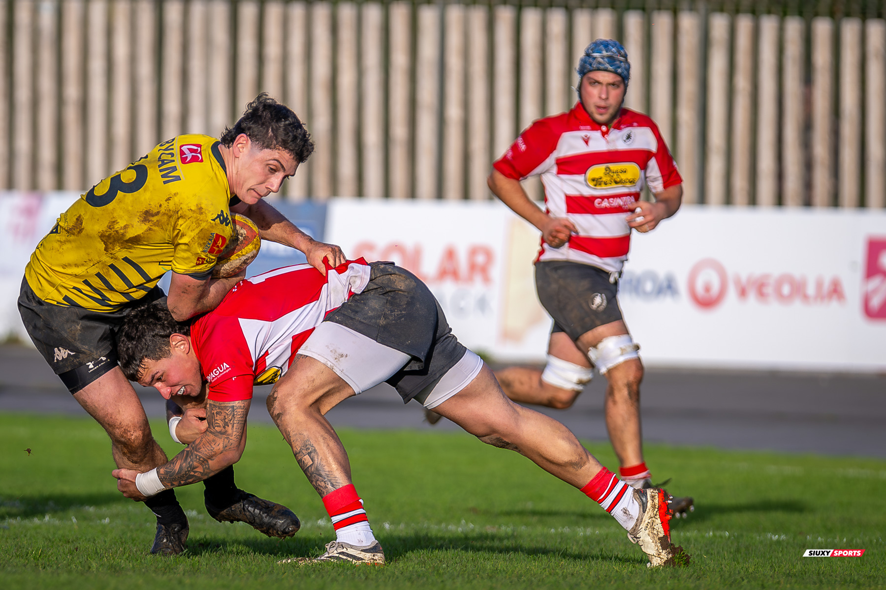  Getxo Artea Rugby Taldea - Gijon Rugby Club - Rugby - FER 2025 - DHB - Getxo RT (108) vs (0) Gijon RC (#FER25DHBGRTGRC1) Photo by: Fredy Monfoto | Siuxy Sports 2025-01-11