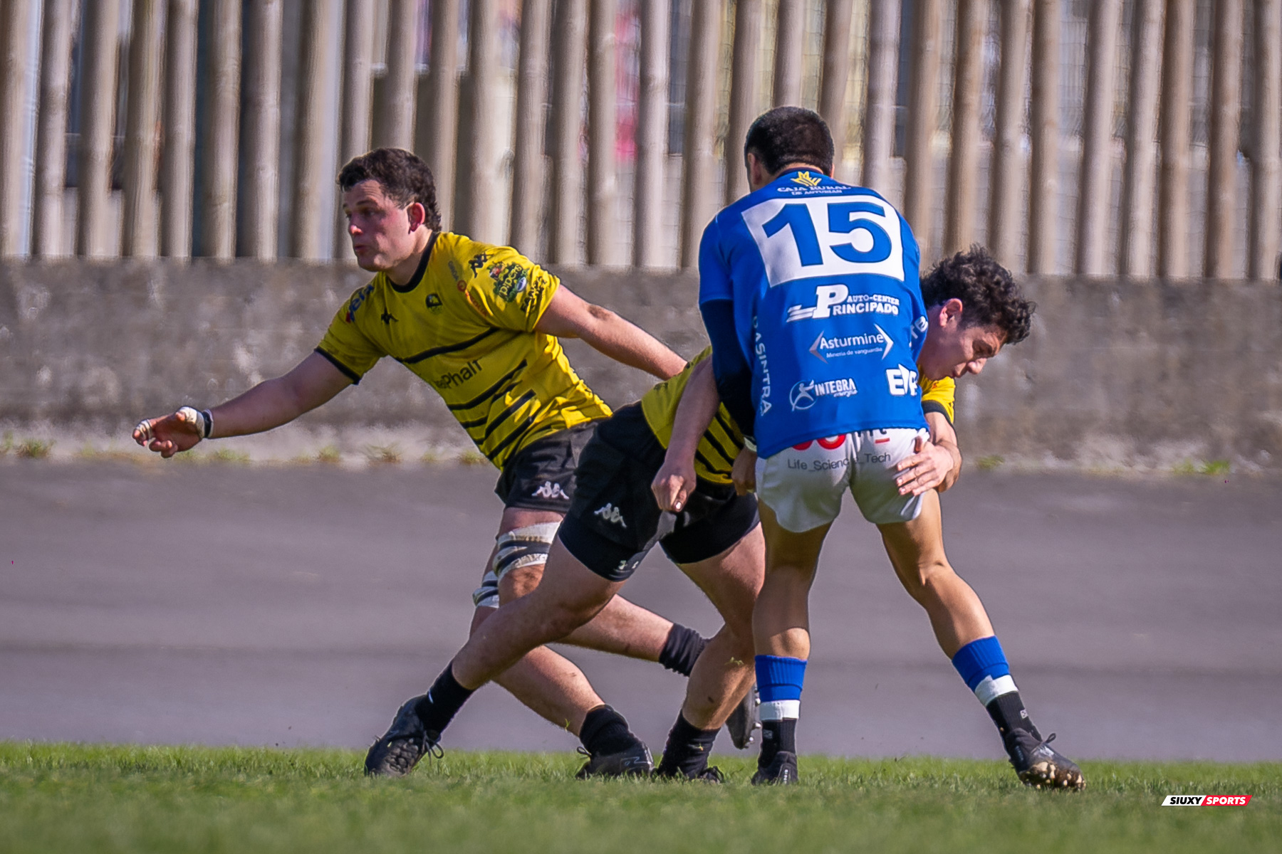  Getxo Artea Rugby Taldea - Real Oviedo Rugby - Rugby - FER 2025 - DHB - Getxo RT (43) vs (19) Oviedo (#FER25DHBGRTOVI03) Photo by: Fredy Monfoto | Siuxy Sports 2025-03-29