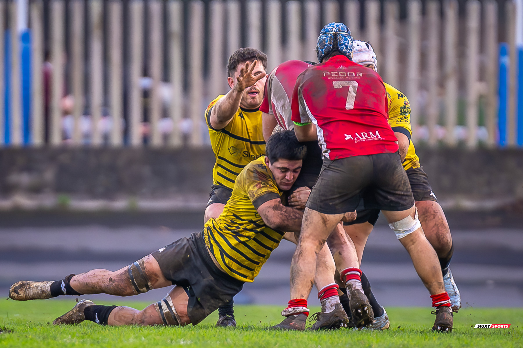  Getxo Artea Rugby Taldea - Gijon Rugby Club - Rugby - FER 2025 - DHB - Getxo RT (108) vs (0) Gijon RC (#FER25DHBGRTGRC1) Photo by: Fredy Monfoto | Siuxy Sports 2025-01-11