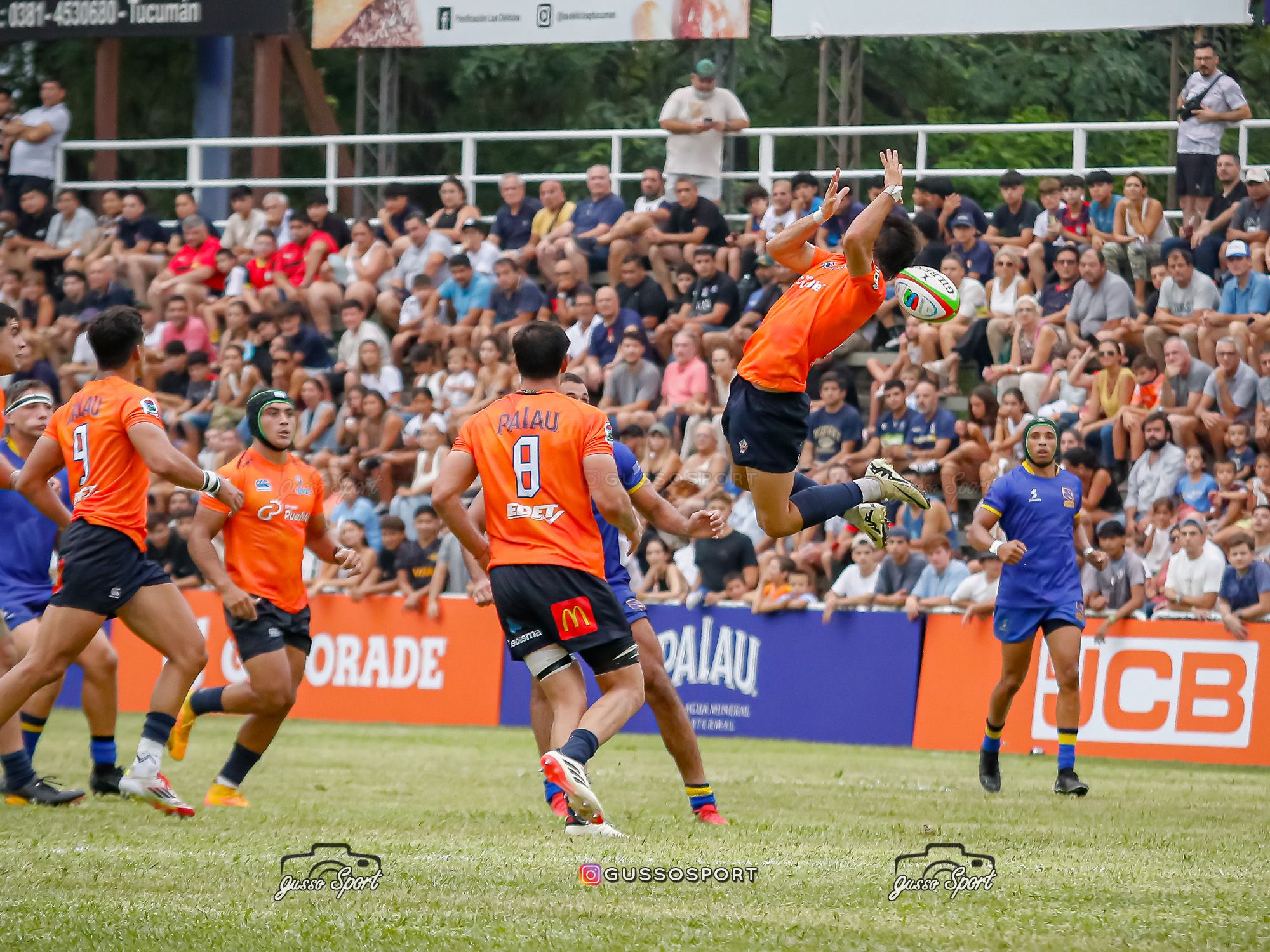  Tarucas - Cobras - Rugby - SRA 2025 - Fecha 1 - Tarucas (45) vs (6) Cobras (Reel 2) (#SRA25TARCOB22) Photo by: Gustavo Sosa | Siuxy Sports 2025-02-15