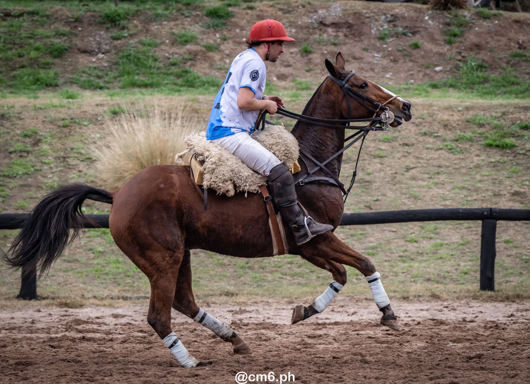   -  - Pato - Torneo Nacional de Pato dia de la Independencia Argentina (#2025PATOINDAR) Photo by: Christian Mas | Siuxy Sports 2025-07-12