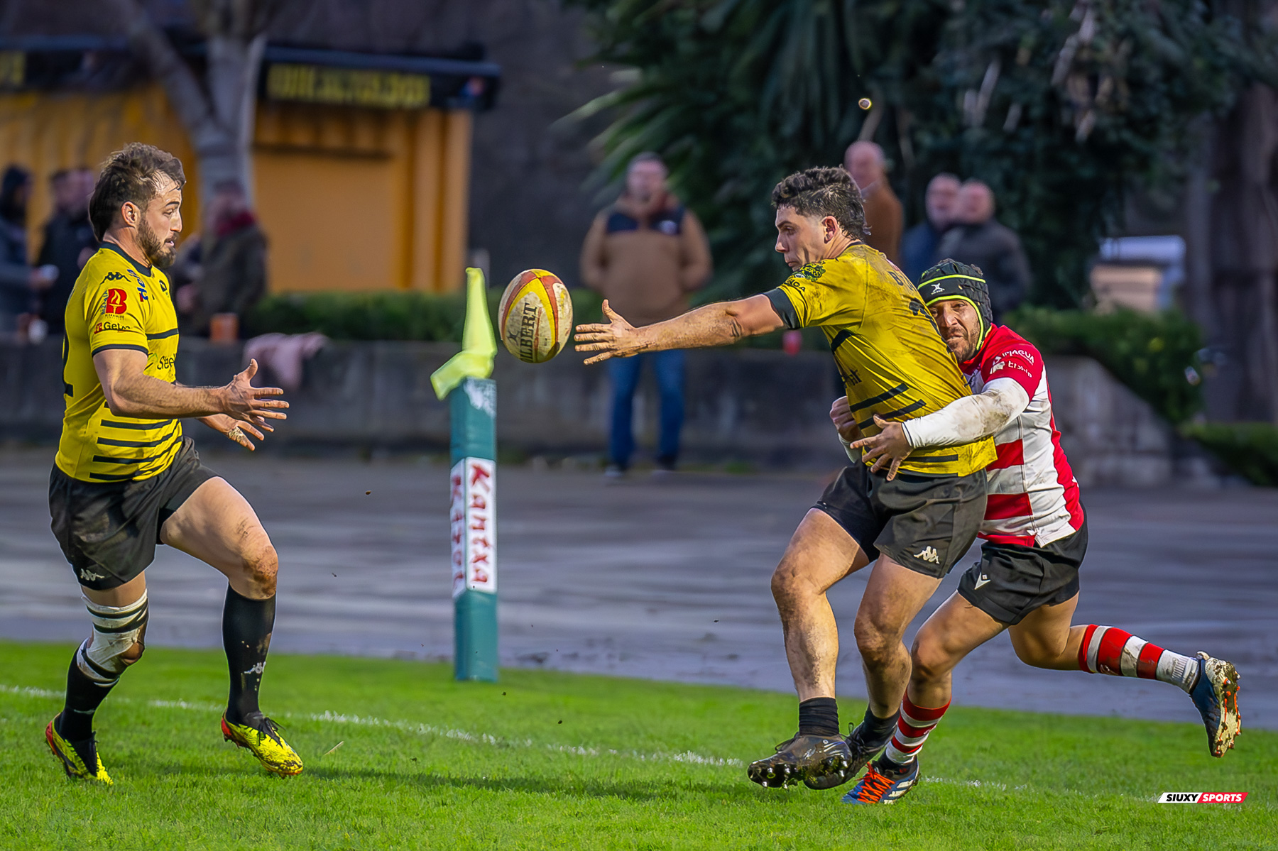  Getxo Artea Rugby Taldea - Gijon Rugby Club - Rugby - FER 2025 - DHB - Getxo RT (108) vs (0) Gijon RC (#FER25DHBGRTGRC1) Photo by: Fredy Monfoto | Siuxy Sports 2025-01-11