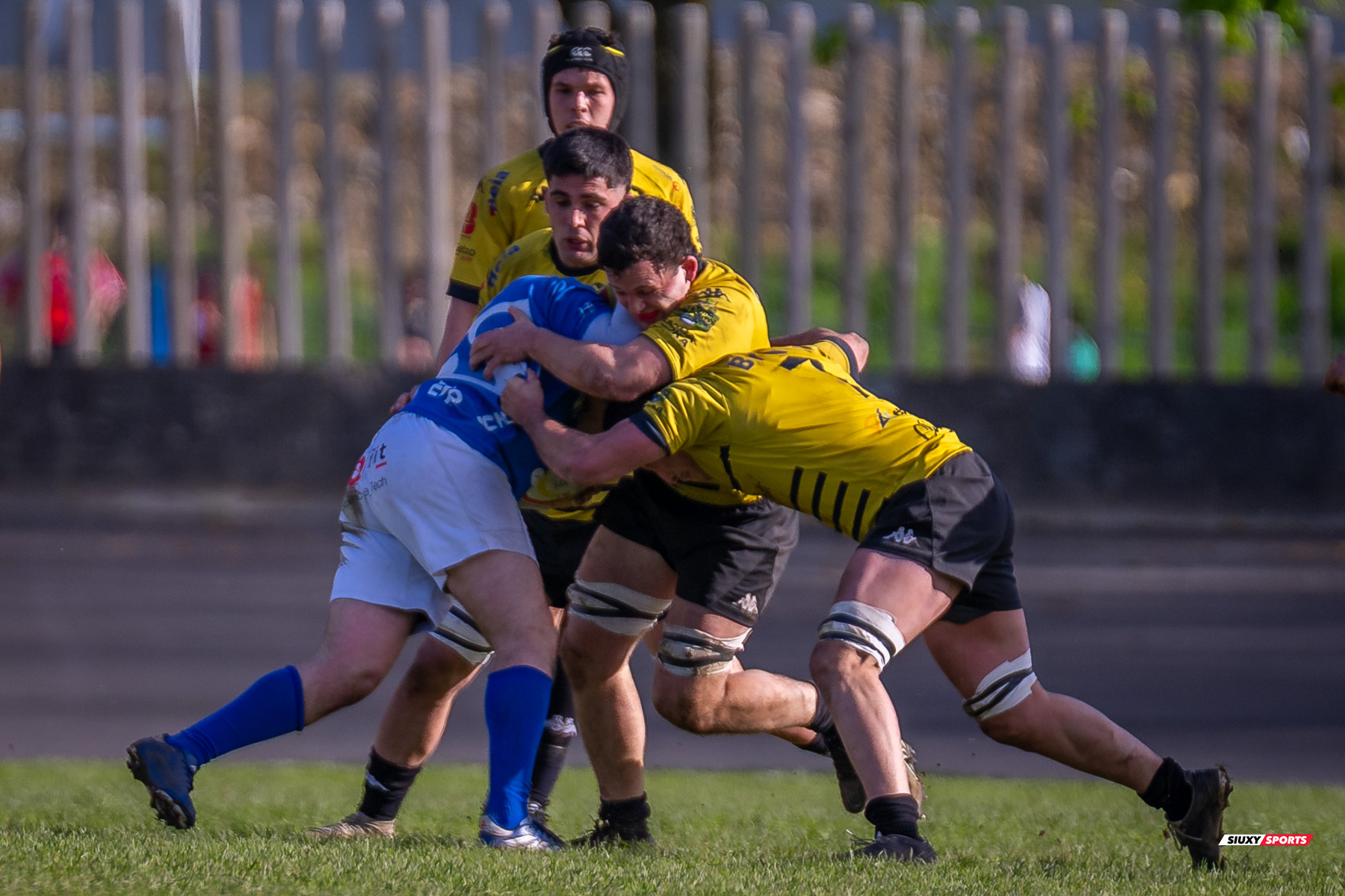  Getxo Artea Rugby Taldea - Real Oviedo Rugby - Rugby - FER 2025 - DHB - Getxo RT (43) vs (19) Oviedo (#FER25DHBGRTOVI03) Photo by: Fredy Monfoto | Siuxy Sports 2025-03-29