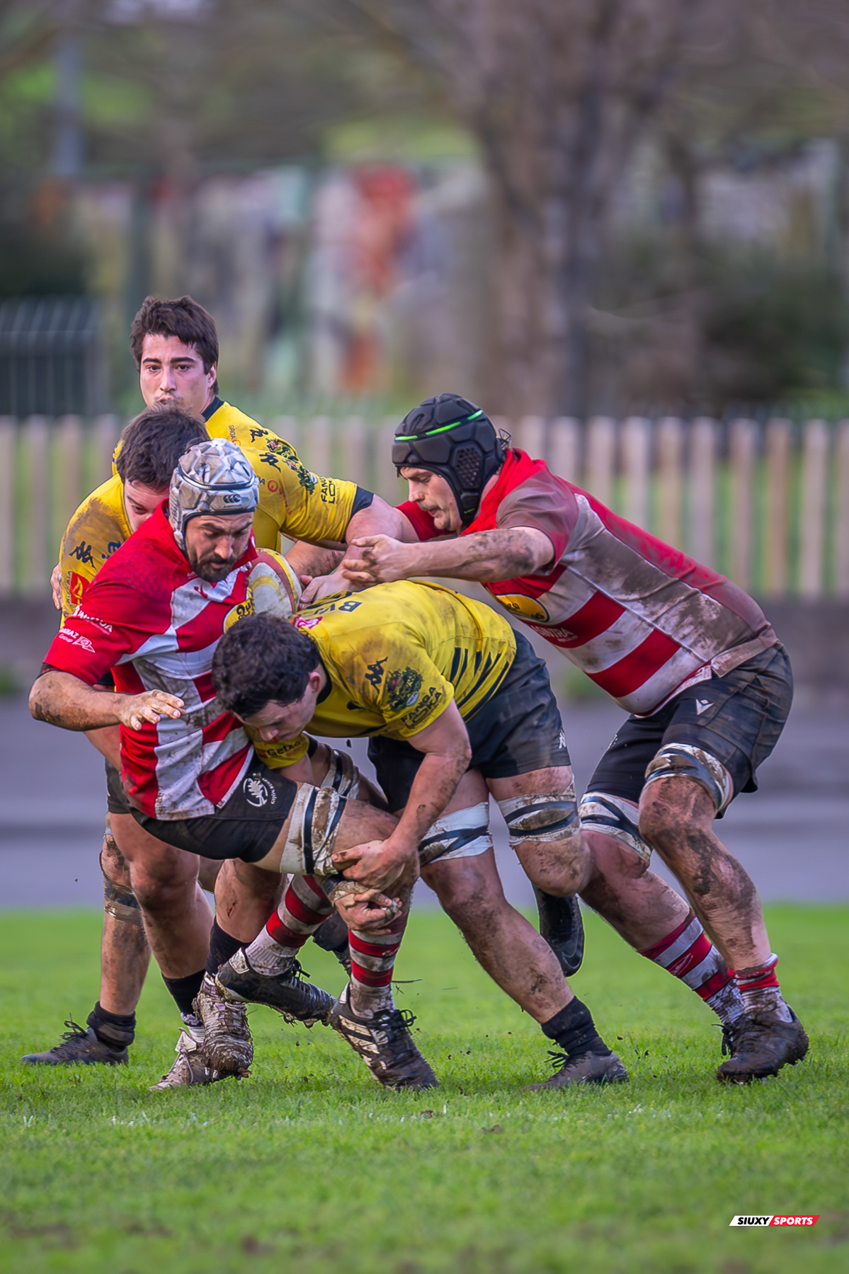 Getxo Artea Rugby Taldea - Gijon Rugby Club - Rugby - FER 2025 - DHB - Getxo RT (108) vs (0) Gijon RC (#FER25DHBGRTGRC1) Photo by: Fredy Monfoto | Siuxy Sports 2025-01-11