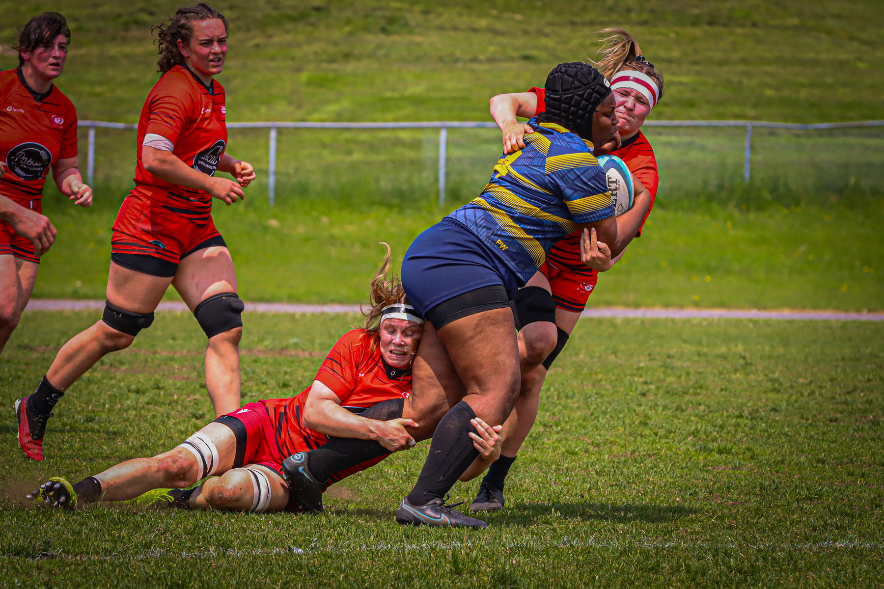  Club de Rugby de Québec - Town of Mount Royal RFC - Rugby - RQ 2025 - SL F - Club de Rugby de Québec (54) vs (12) TMR (#RQ25SLFQCTMR6) Photo by: Photo Mayarts | Siuxy Sports 2025-06-07