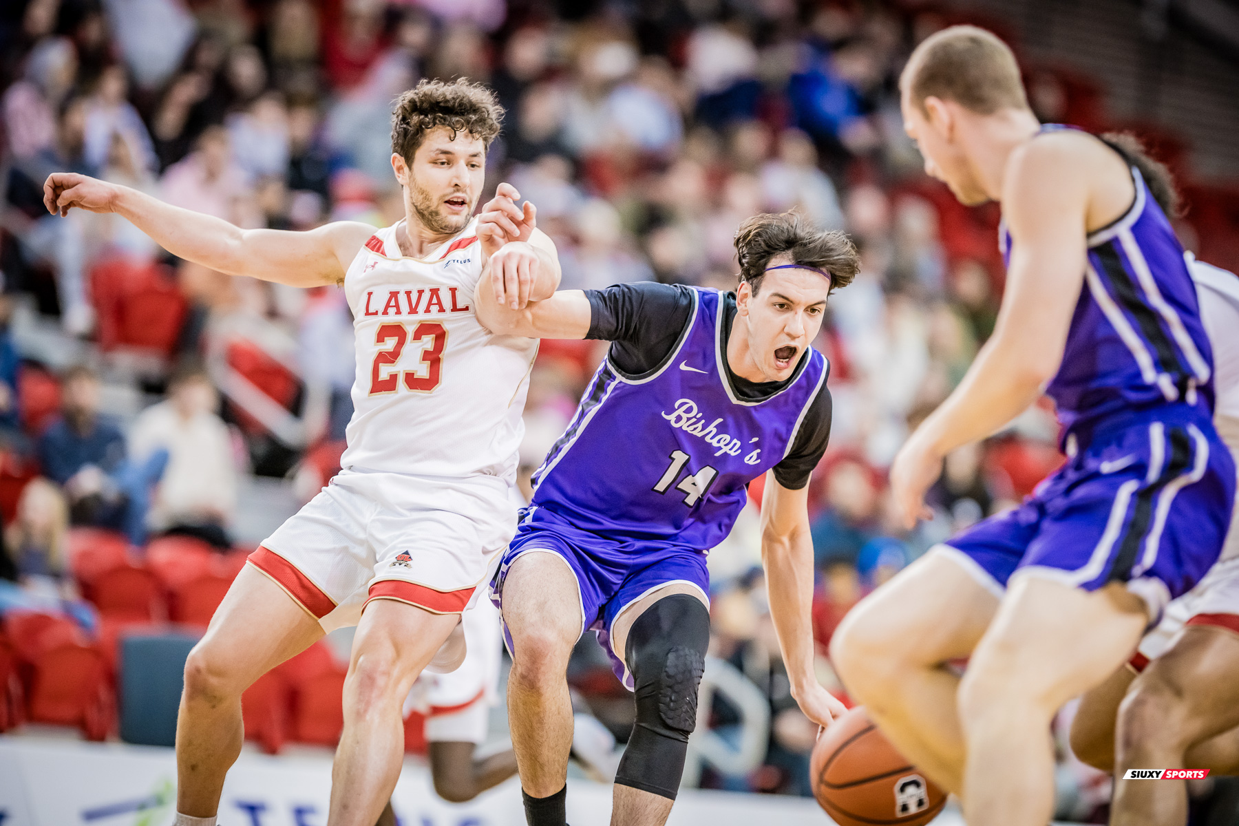  Université Laval - Bishop's University - Basketball - RSEQ 2025 - Basketball M - U.Laval (65) vs (73) Bishop's (#RSEQ25BMULBI02) Photo by: Louis Charland | Siuxy Sports 2025-02-01