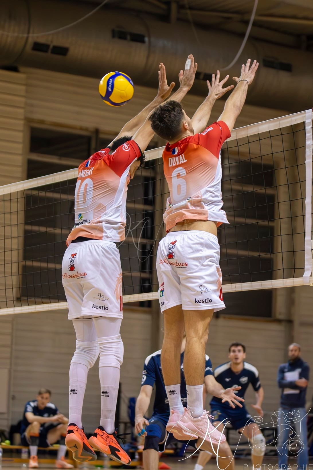  Grenoble Volley UC - ASUL Lyon Volley - Volleyball - FFV 2025 - Grenoble Volley vs ASUL Lyon Volley (#FFV25GRVASU02) Photo by: Karine Valentin | Siuxy Sports 2025-02-09
