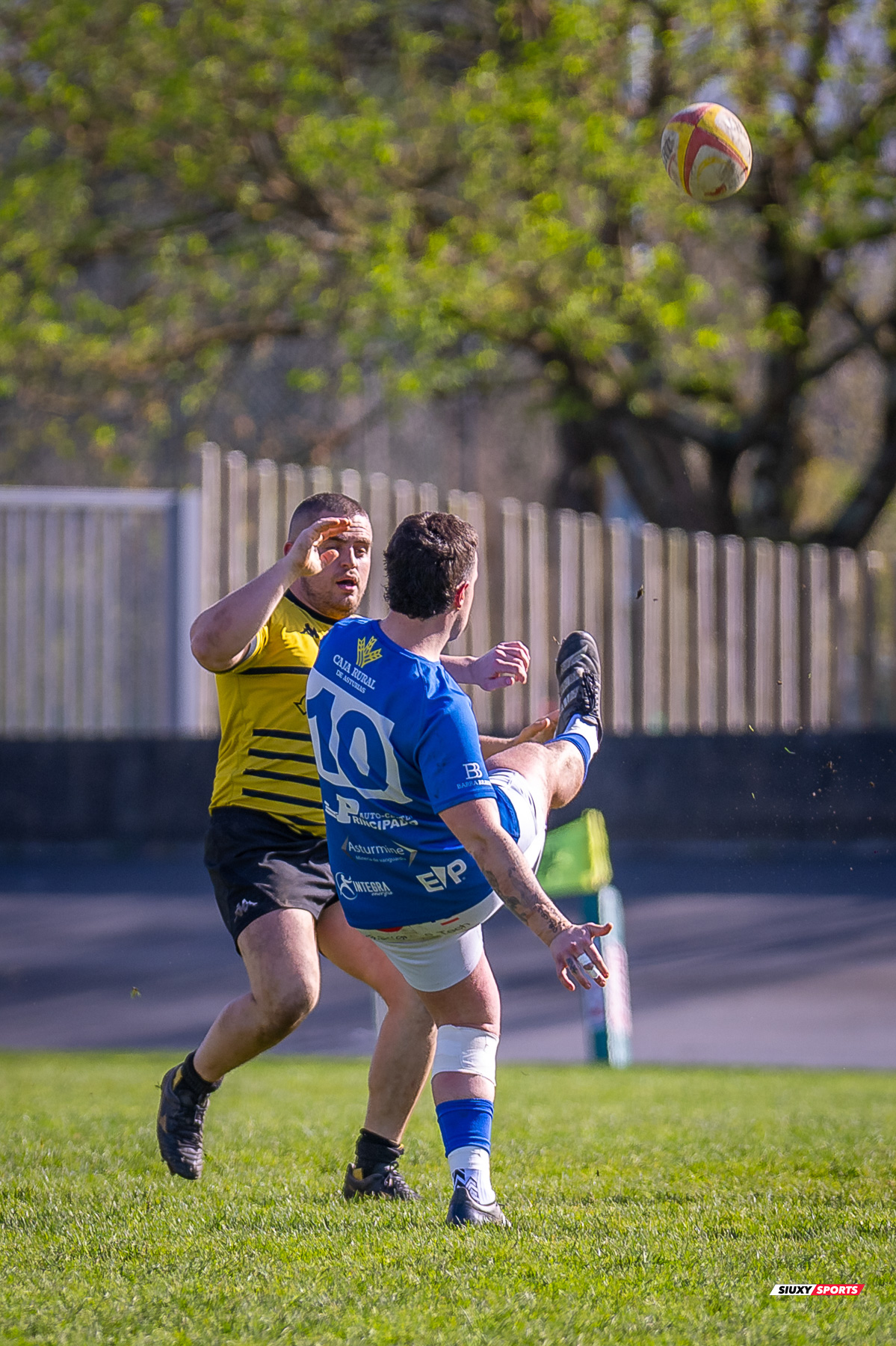  Getxo Artea Rugby Taldea - Real Oviedo Rugby - Rugby - FER 2025 - DHB - Getxo RT (43) vs (19) Oviedo (#FER25DHBGRTOVI03) Photo by: Fredy Monfoto | Siuxy Sports 2025-03-29
