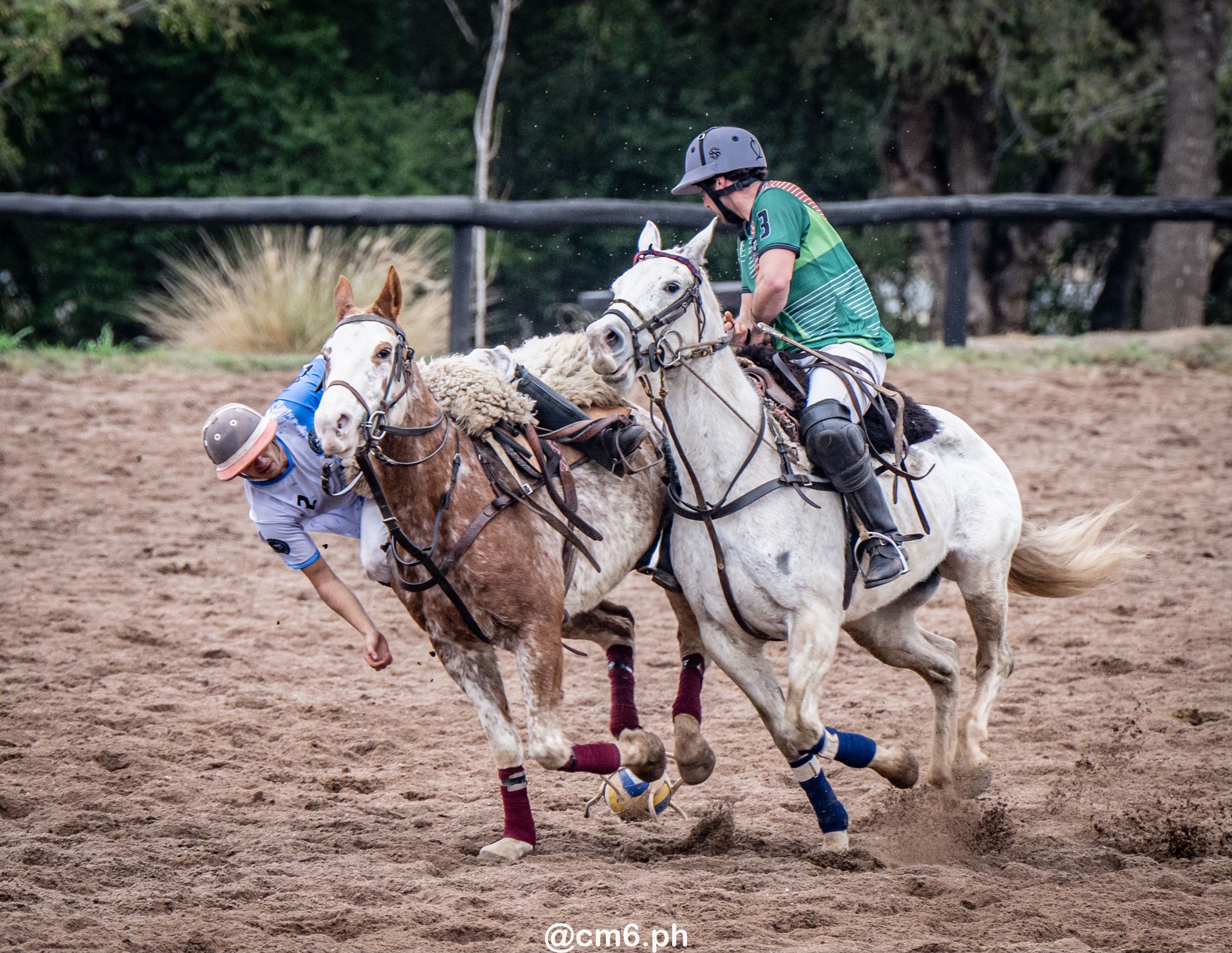  -  - Pato - Torneo Nacional de Pato dia de la Independencia Argentina (#2025PATOINDAR) Photo by: Christian Mas | Siuxy Sports 2025-07-12