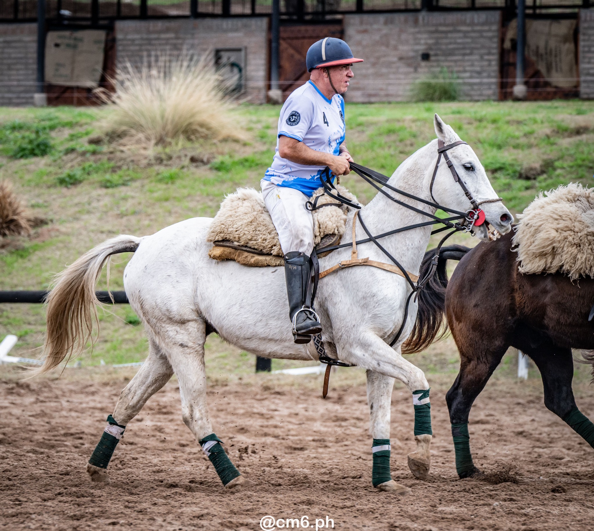   -  - Pato - Torneo Nacional de Pato dia de la Independencia Argentina (#2025PATOINDAR) Photo by: Christian Mas | Siuxy Sports 2025-07-12