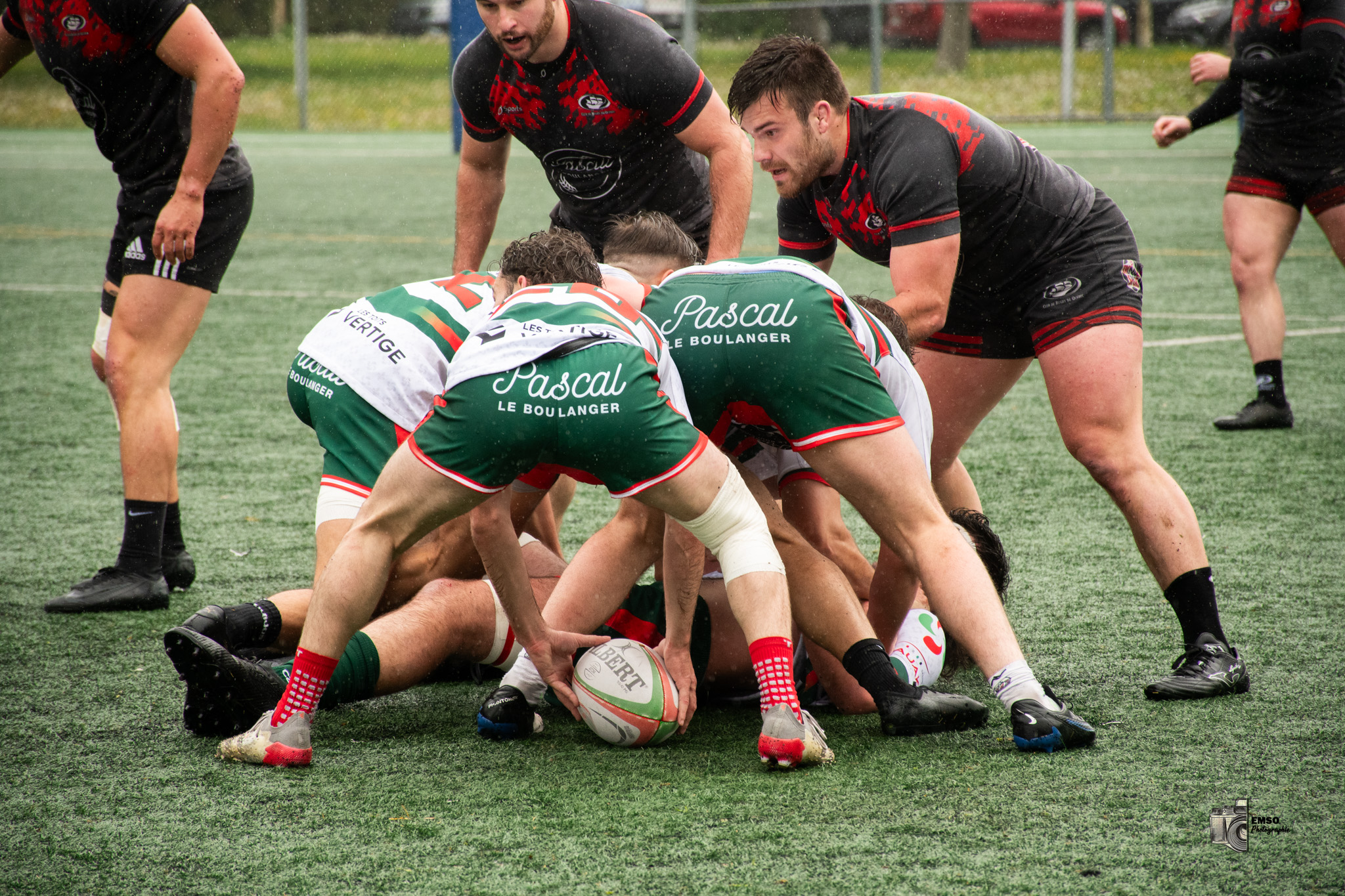  Rugby Club de Montréal - Club de Rugby de Québec - Rugby - RQ 2025 - SL M - Rugby Club de Montréal vs Club de Rugby de Québec (#RQ25SLMRCMQ5) Photo by: emso photo | Siuxy Sports 2025-05-24