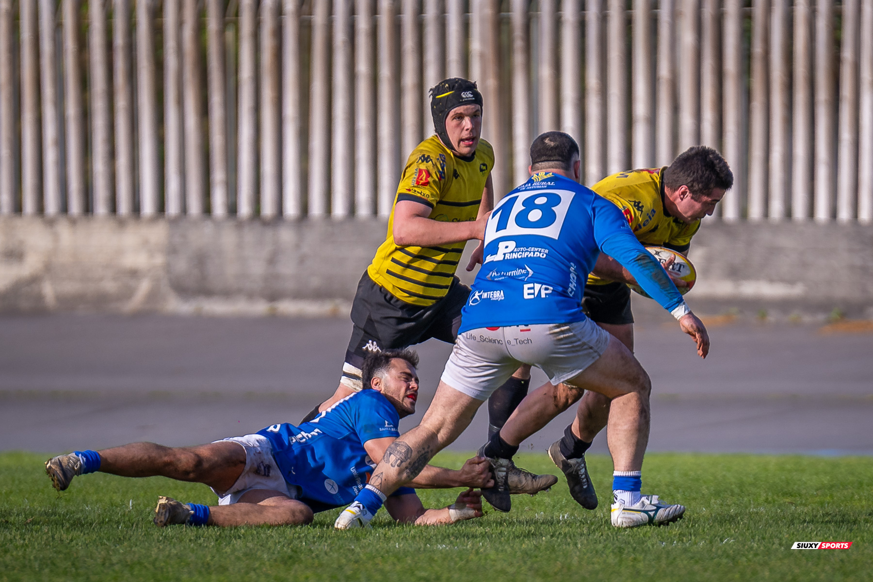  Getxo Artea Rugby Taldea - Real Oviedo Rugby - Rugby - FER 2025 - DHB - Getxo RT (43) vs (19) Oviedo (#FER25DHBGRTOVI03) Photo by: Fredy Monfoto | Siuxy Sports 2025-03-29