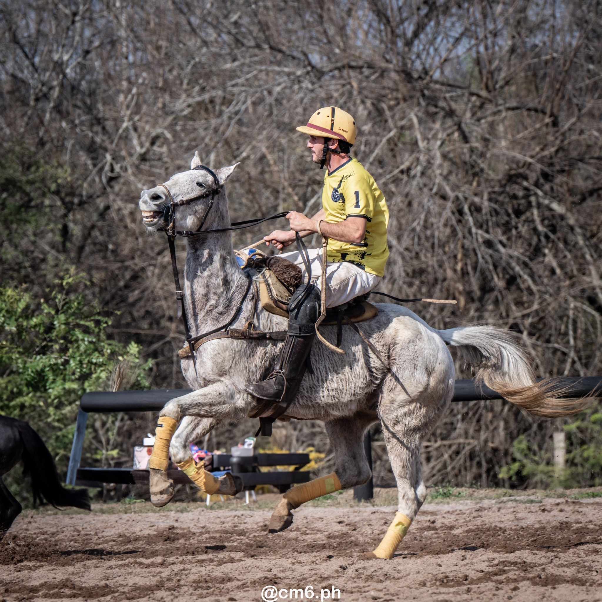   -  - Pato - Torneo Nacional de Pato dia de la Independencia Argentina (#2025PATOINDAR) Photo by: Christian Mas | Siuxy Sports 2025-07-12