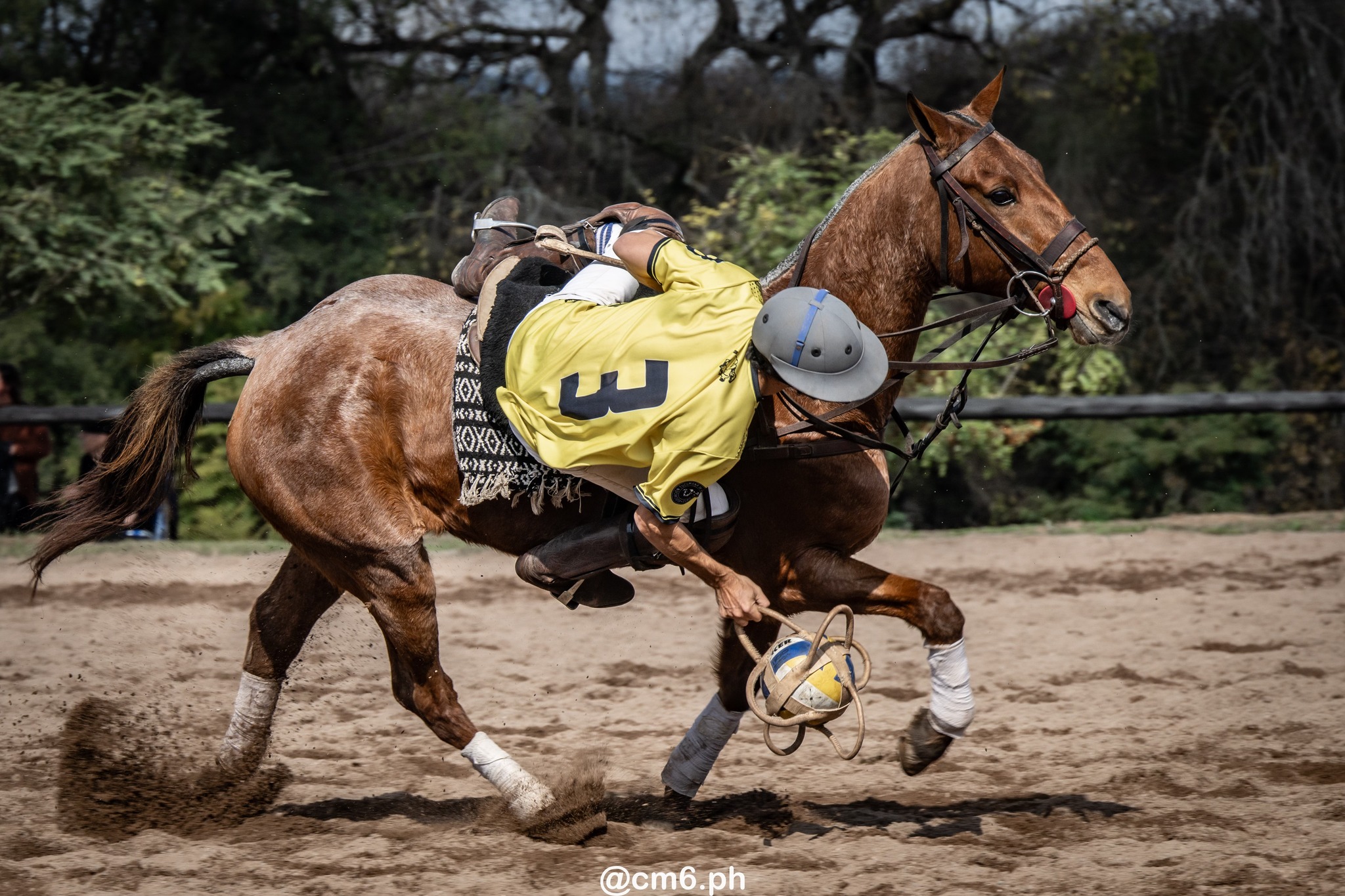   -  - Pato - Torneo Nacional de Pato dia de la Independencia Argentina (#2025PATOINDAR) Photo by: Christian Mas | Siuxy Sports 2025-07-12