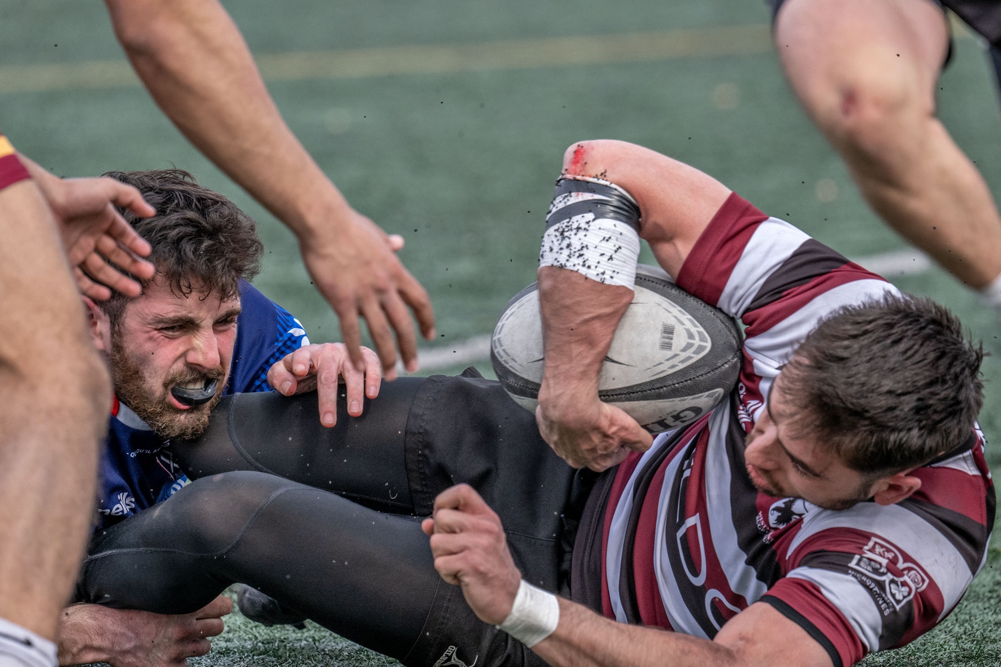  Rugby XV de Montréal - Westmount Rugby Club - Rugby - RQ 2024 - LPR2 - XV de Montreal vs Westmount (#RQ24LP2XVMW4) Photo by: Rejean Poudrette | Siuxy Sports 2024-04-27