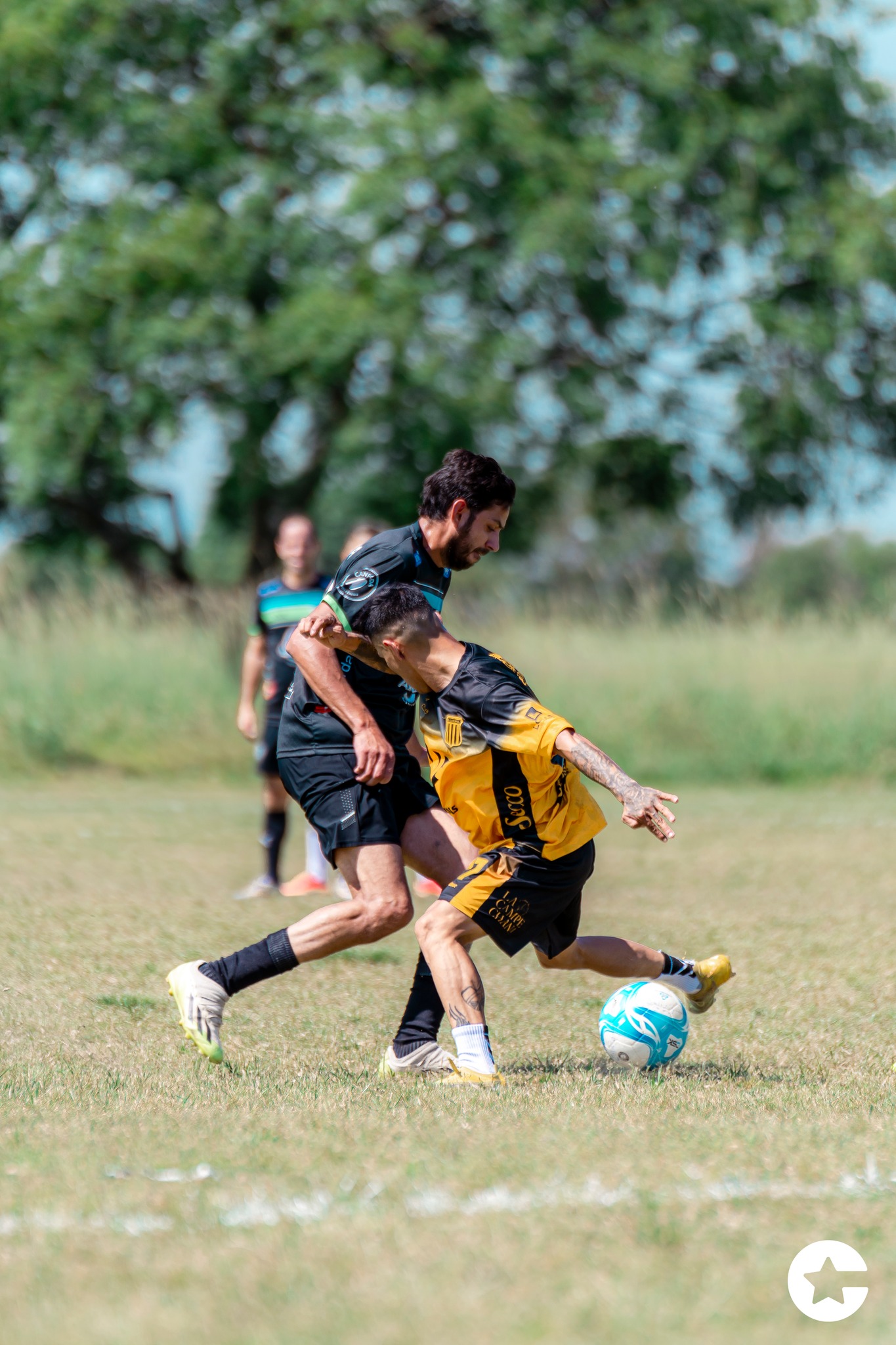  Equipo 0055 -  - Soccer - TLCF 2024 - Futbol - 13a Fecha Torneo Clausura 2024 A (#TLCF24F13TCA) Photo by:  | Siuxy Sports 2024-11-16