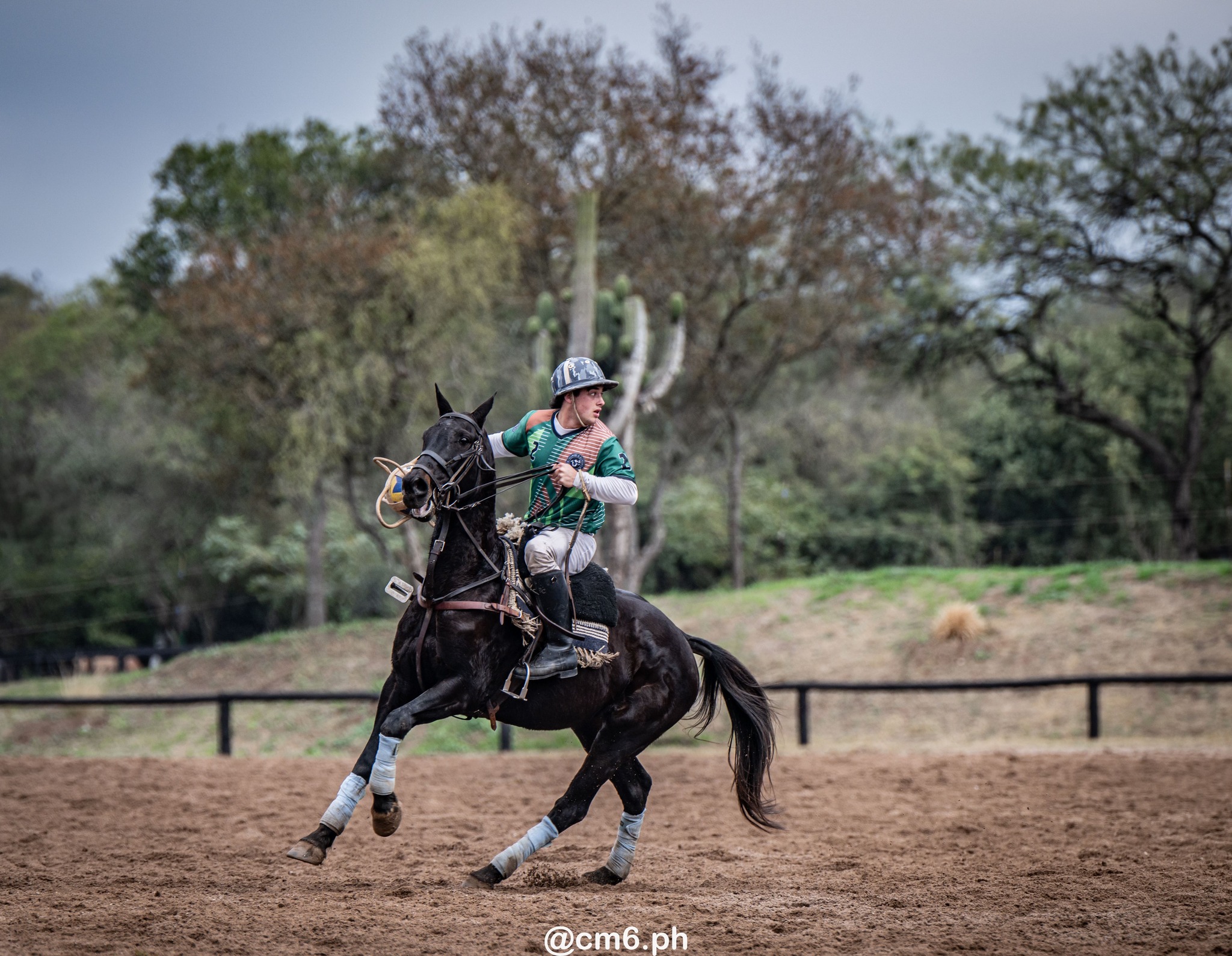   -  - Pato - Torneo Nacional de Pato dia de la Independencia Argentina (#2025PATOINDAR) Photo by: Christian Mas | Siuxy Sports 2025-07-12