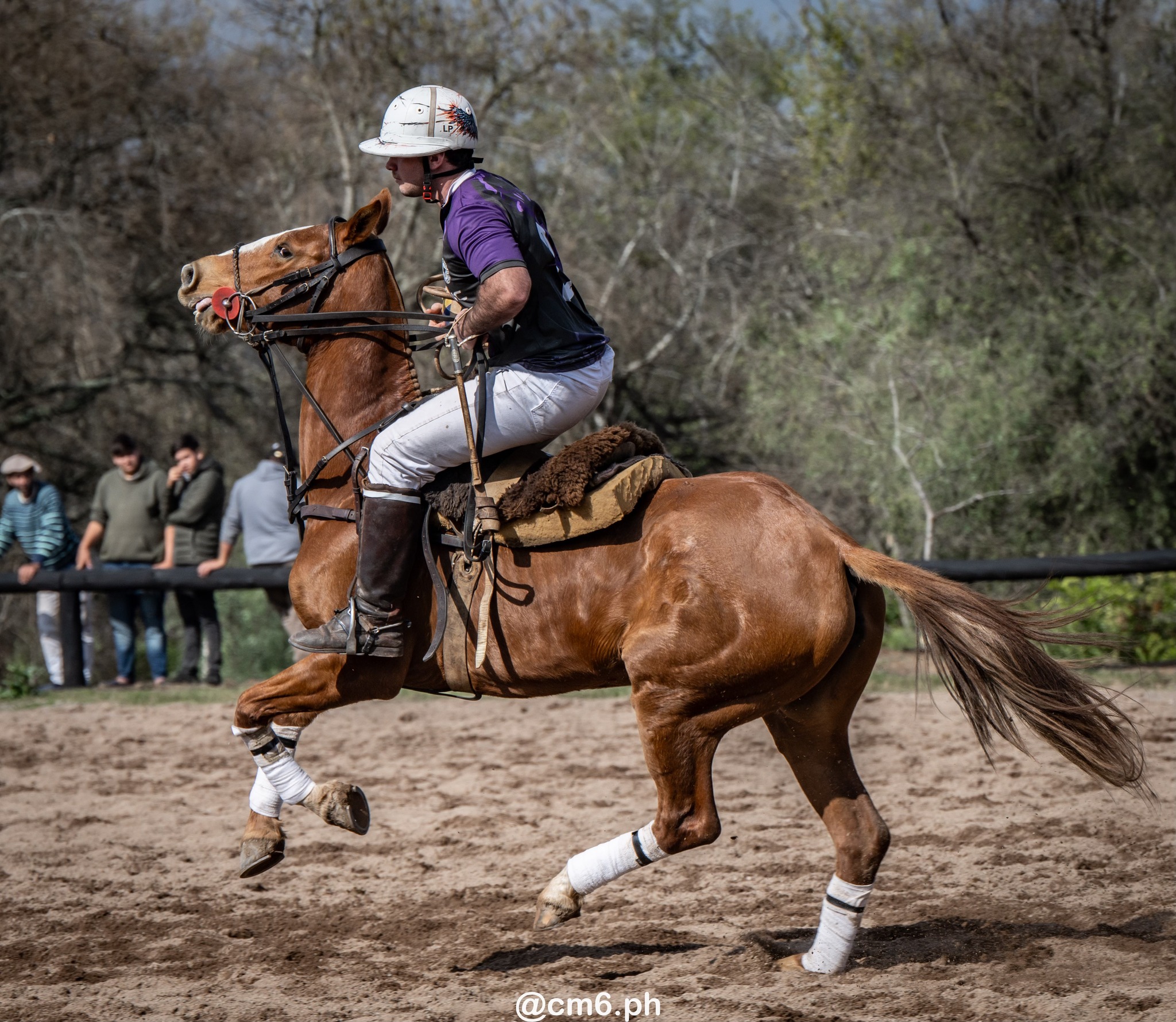   -  - Pato - Torneo Nacional de Pato dia de la Independencia Argentina (#2025PATOINDAR) Photo by: Christian Mas | Siuxy Sports 2025-07-12