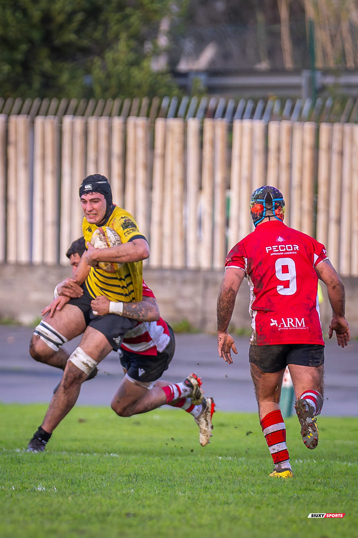  Getxo Artea Rugby Taldea - Gijon Rugby Club - Rugby - FER 2025 - DHB - Getxo RT (108) vs (0) Gijon RC (#FER25DHBGRTGRC1) Photo by: Fredy Monfoto | Siuxy Sports 2025-01-11