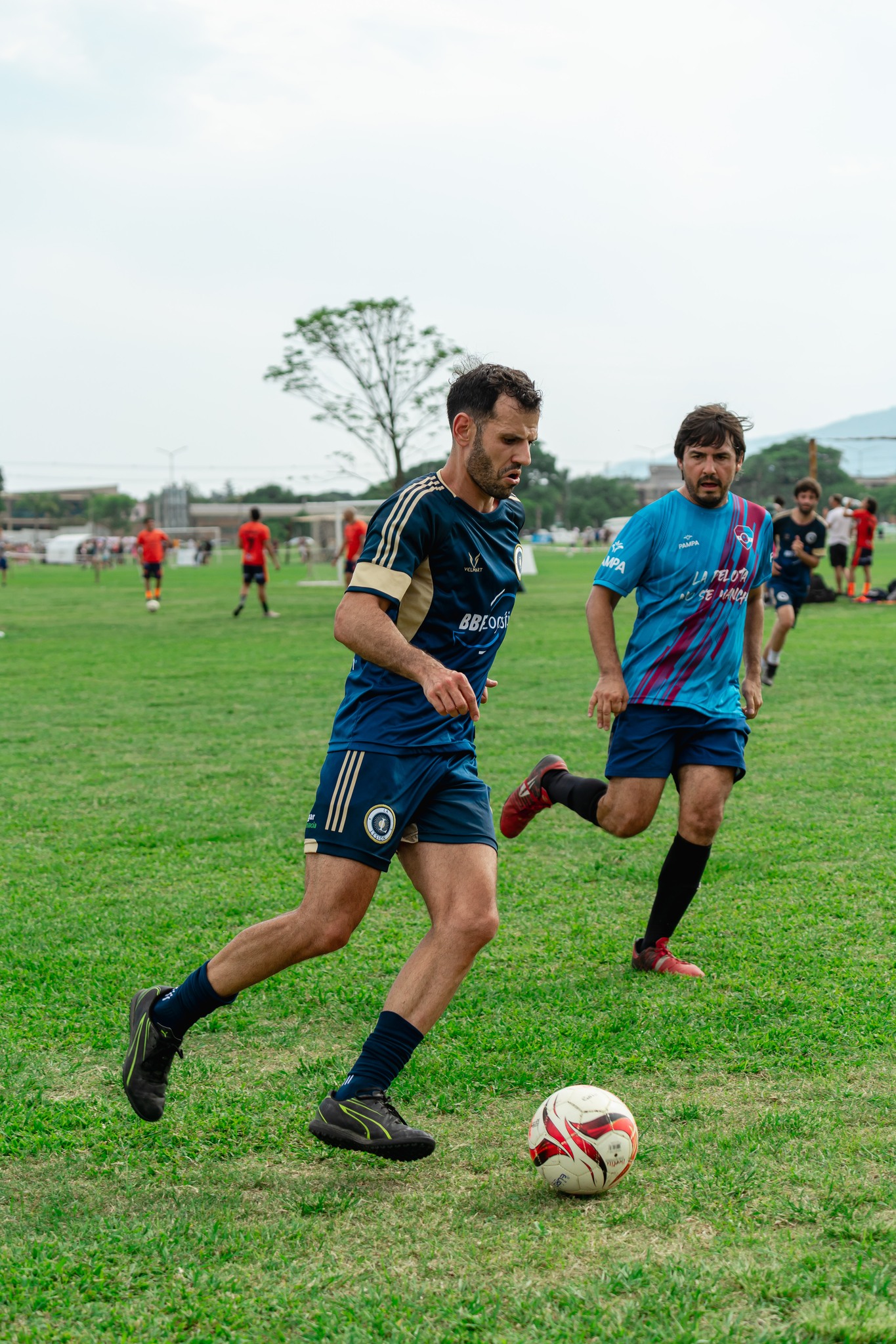  Equipo 0055 -  - Soccer - TLCF 2024 - Futbol - 13a Fecha Torneo Clausura 2024 B (#TLCF24F13TCB) Photo by:  | Siuxy Sports 2024-11-16