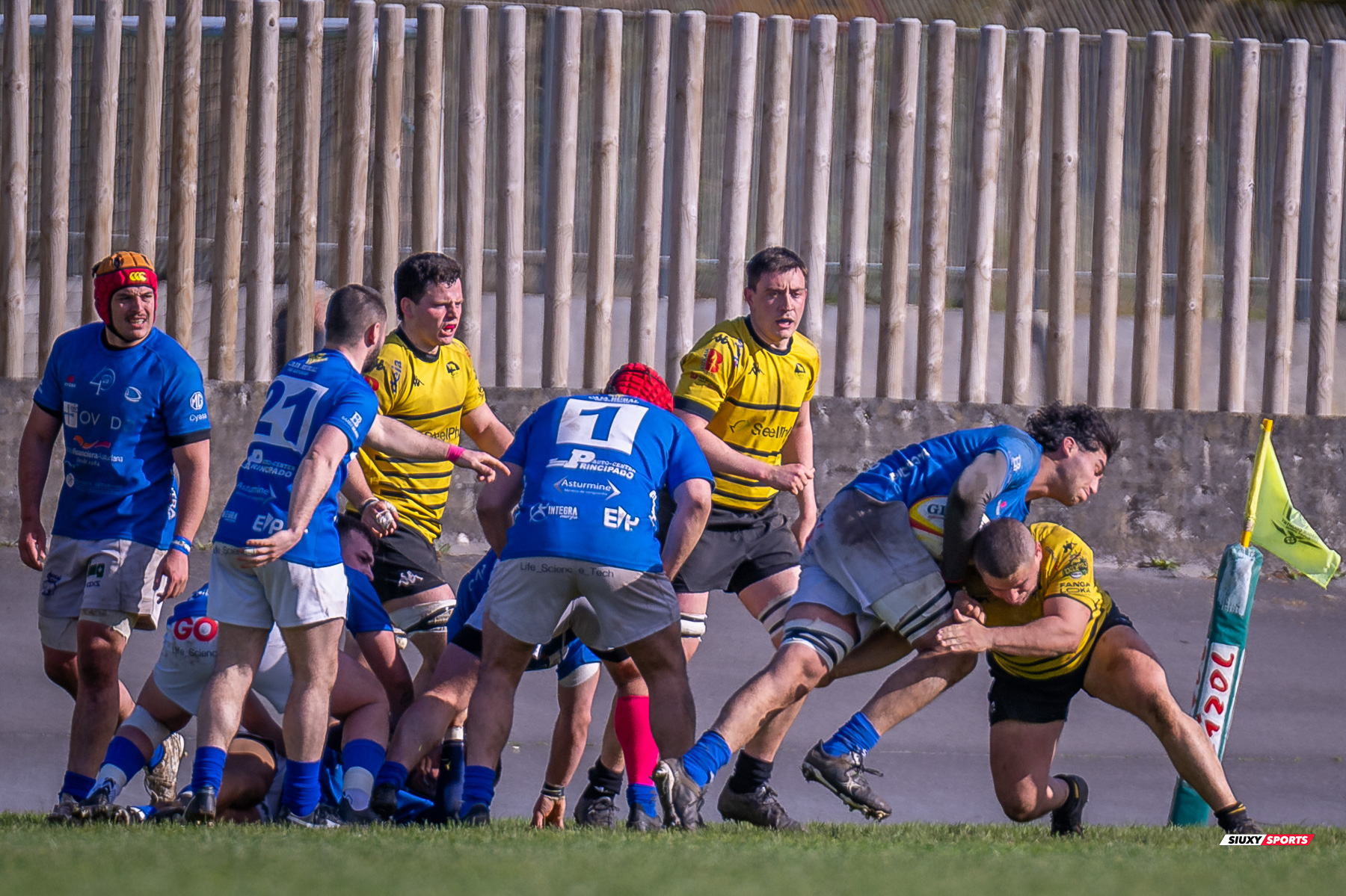  Getxo Artea Rugby Taldea - Real Oviedo Rugby - Rugby - FER 2025 - DHB - Getxo RT (43) vs (19) Oviedo (#FER25DHBGRTOVI03) Photo by: Fredy Monfoto | Siuxy Sports 2025-03-29