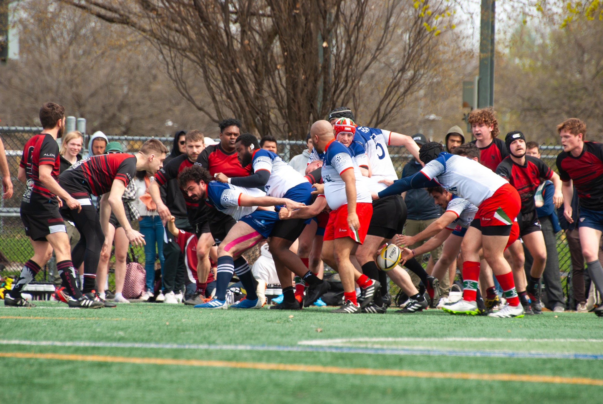  Rugby Club de Montréal - Westmount Rugby Club - Rugby - RQ 2024 - LPR2 - RCMXV vs Westmount 2 (#RQ24LP2RCMXW4) Photo by: Coraline Brochet | Siuxy Sports 2024-04-27