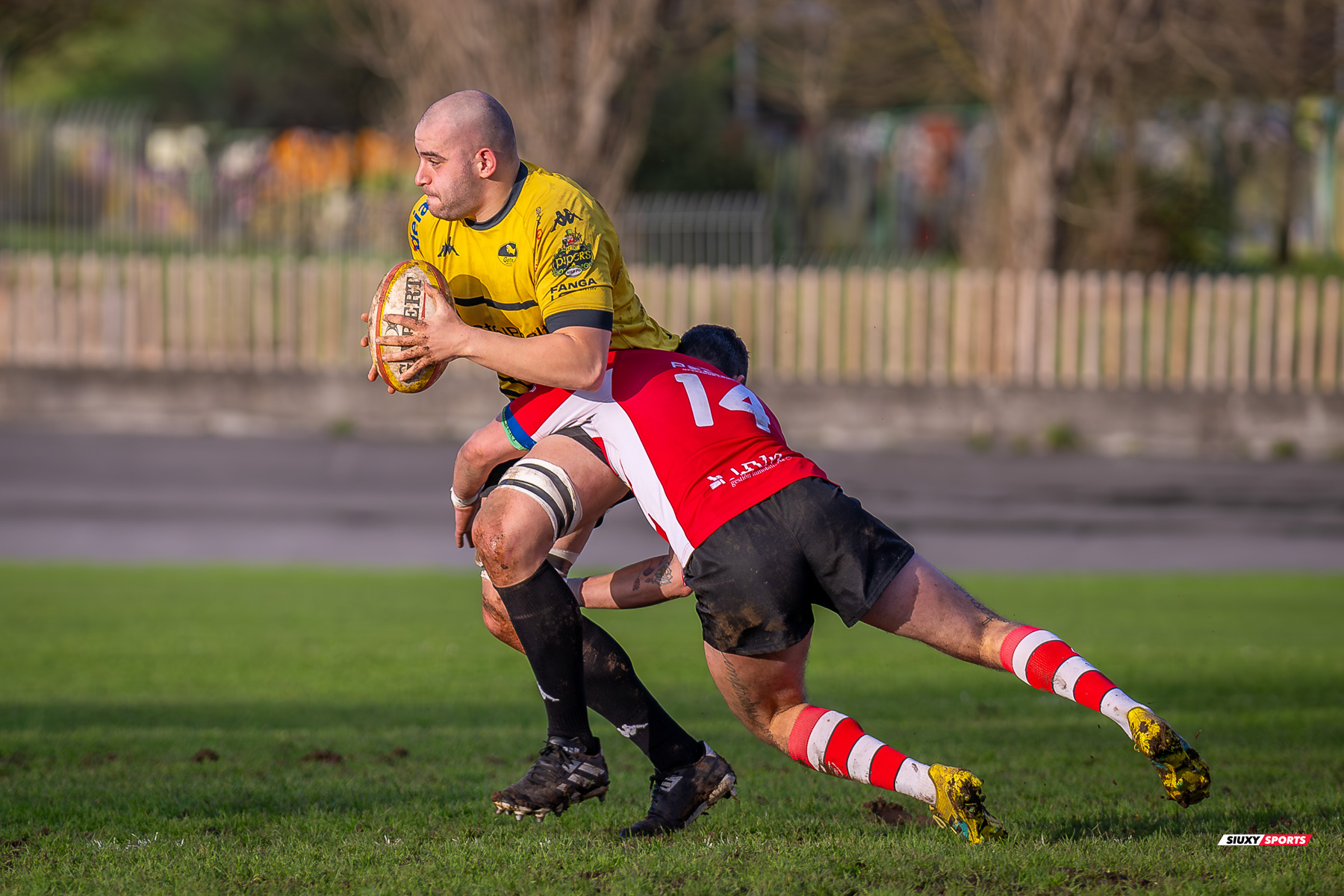  Getxo Artea Rugby Taldea - Gijon Rugby Club - Rugby - FER 2025 - DHB - Getxo RT (108) vs (0) Gijon RC (#FER25DHBGRTGRC1) Photo by: Fredy Monfoto | Siuxy Sports 2025-01-11