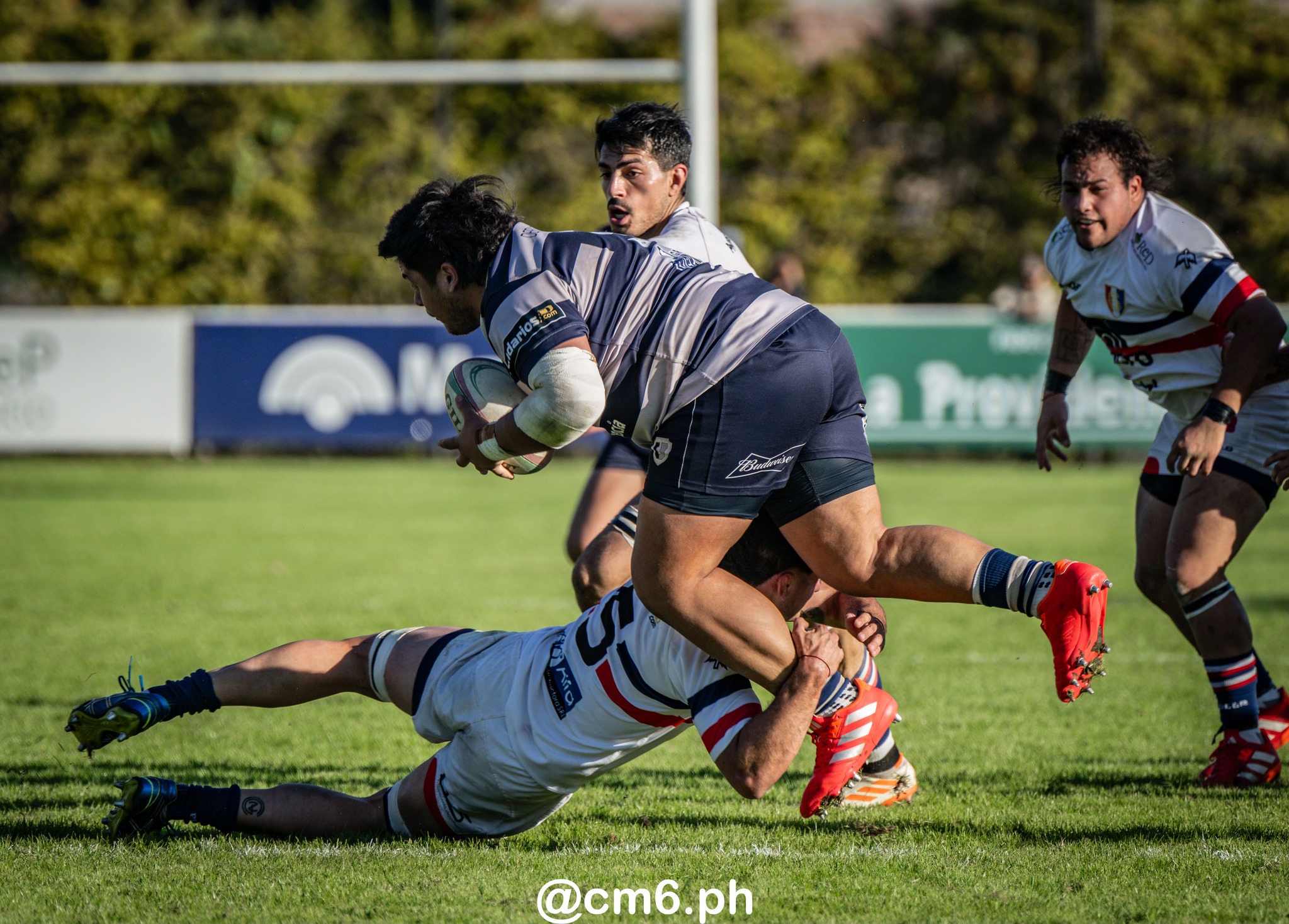  Universitario Rugby Club - Tucuman - Natación y Gimnasia - Rugby - URT 2025 - Universitario Rugby Club vs Natacion y Gimnasia de Tucuman (#URT25URTNG8) Photo by: Christian Mas | Siuxy Sports 2025-08-10