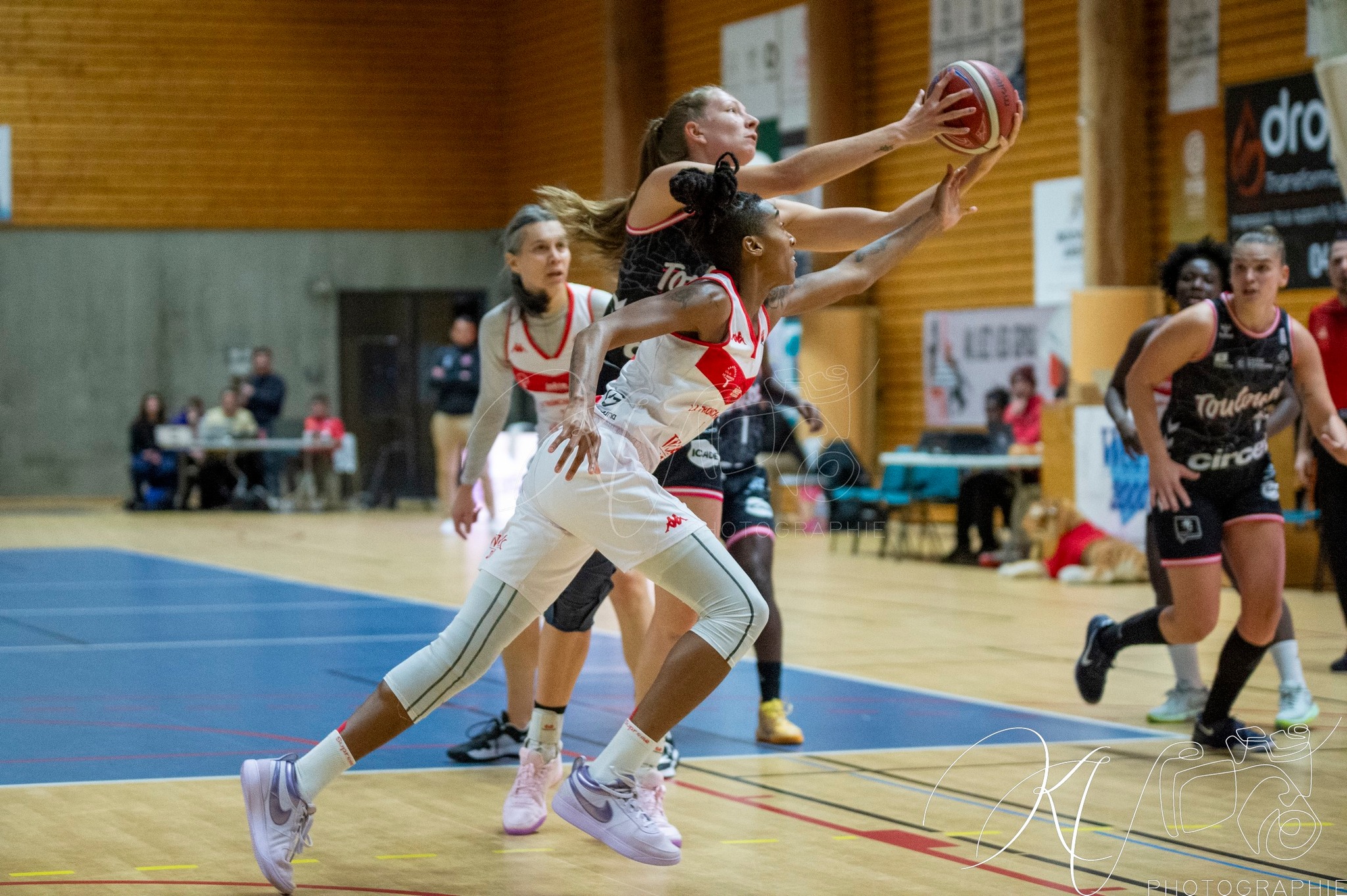  BC Tronche Meylan - Toulouse Métropole Basket - Basketball - FFB 2025 - BCTM vs Toulousse (#FFBB25BCTMTMB) Photo by: Karine Valentin | Siuxy Sports 2025-01-12
