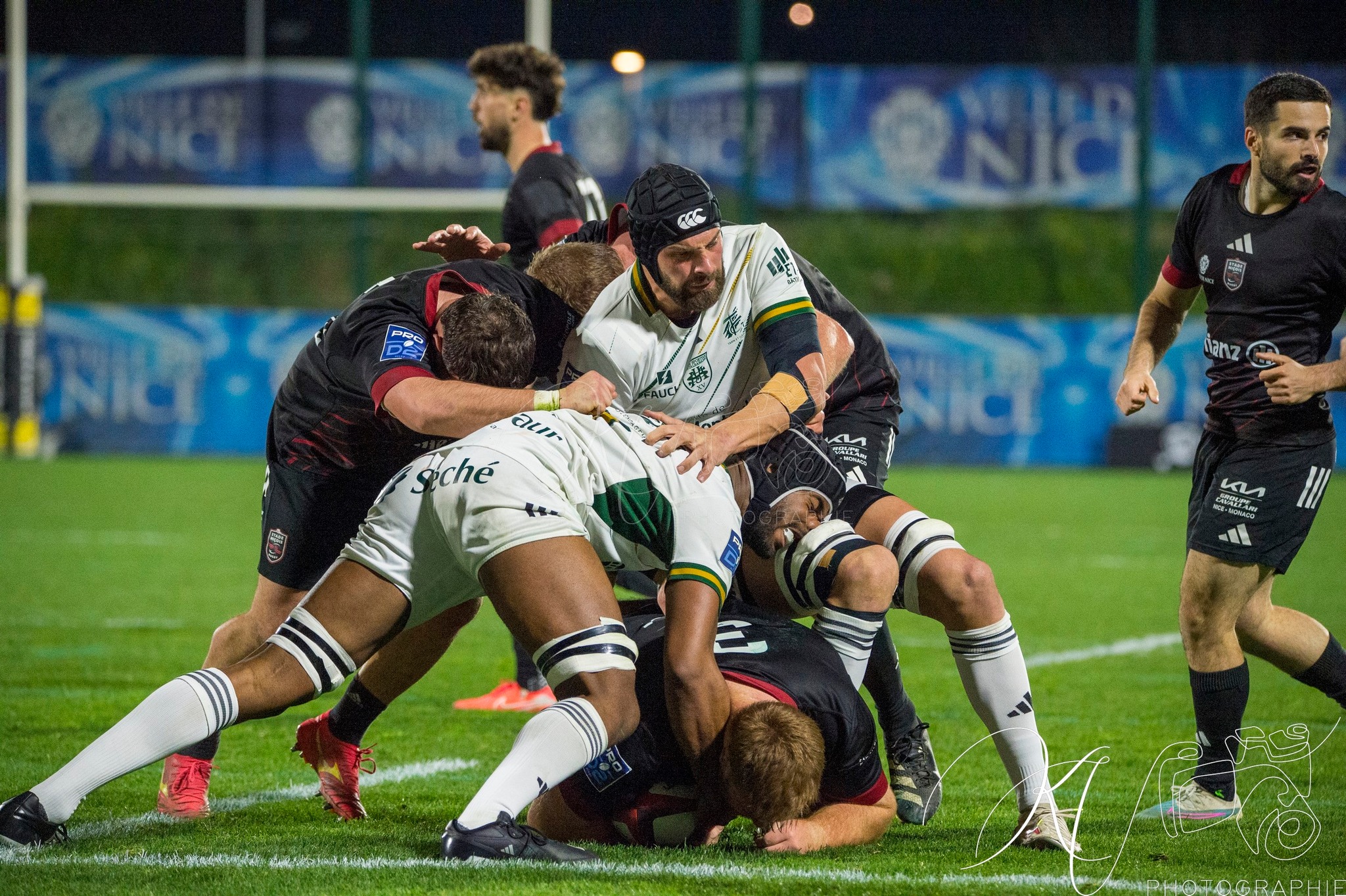  Stade niçois - US Montauban - Rugby - FFR 2025 - Pro D2 - Stade Niçois (7) vs (15) US Montauban (#PD225PD2SNUSM02) Photo by: Karine Valentin | Siuxy Sports 2025-02-21