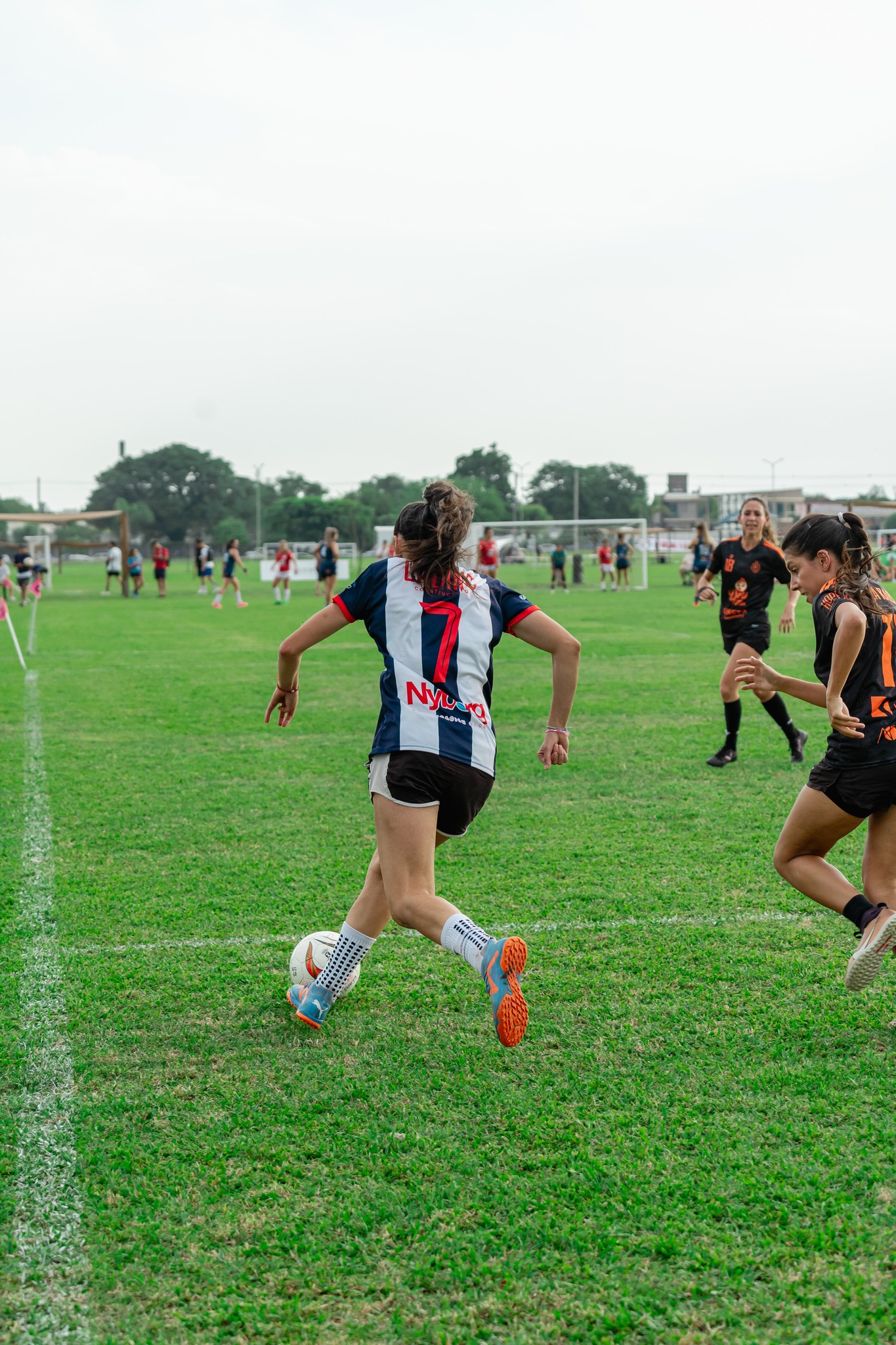  Equipo 0055 -  - Soccer - TLCF 2024 - Futbol - 13a Fecha Torneo Clausura 2024 B (#TLCF24F13TCB) Photo by:  | Siuxy Sports 2024-11-16