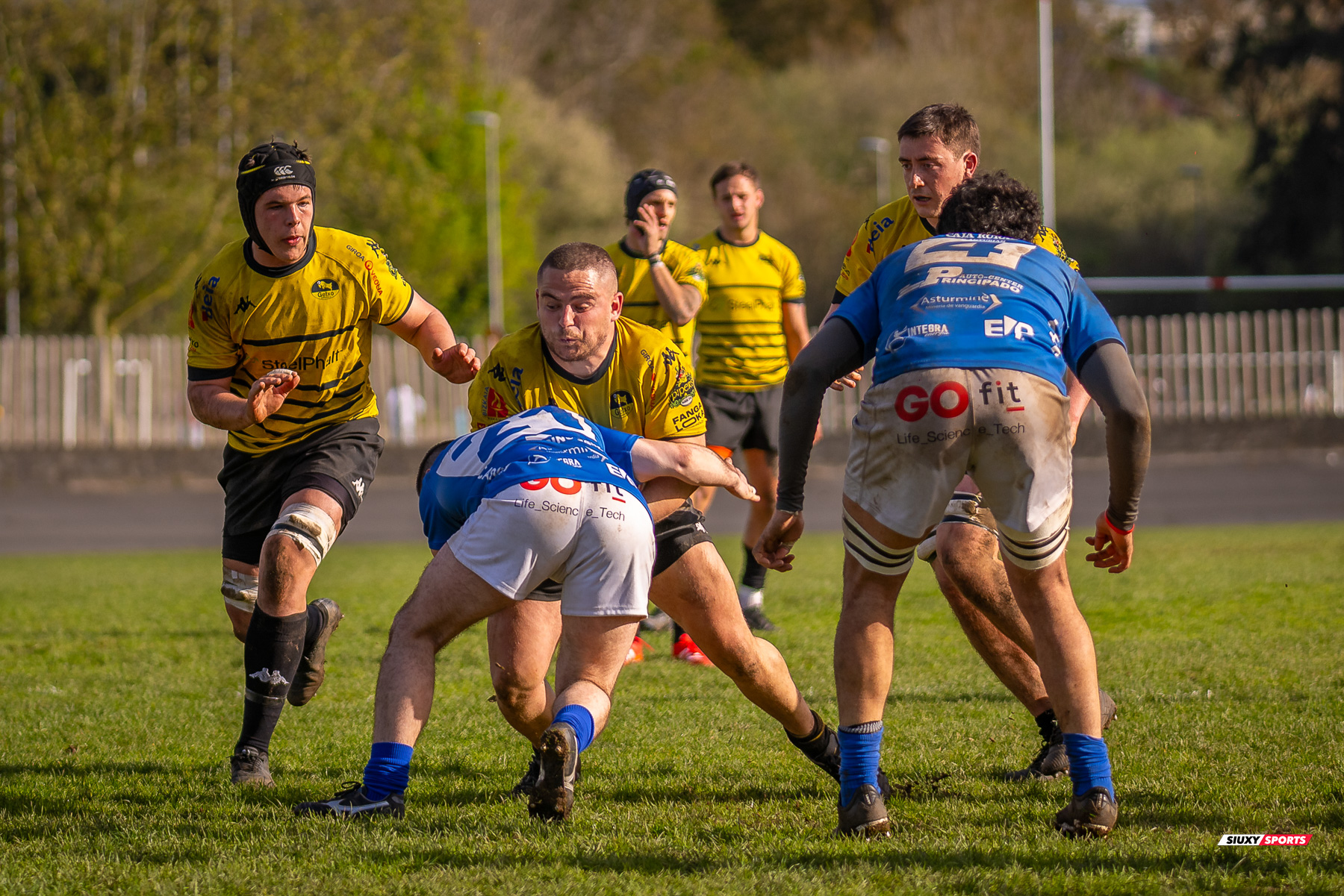  Getxo Artea Rugby Taldea - Real Oviedo Rugby - Rugby - FER 2025 - DHB - Getxo RT (43) vs (19) Oviedo (#FER25DHBGRTOVI03) Photo by: Fredy Monfoto | Siuxy Sports 2025-03-29