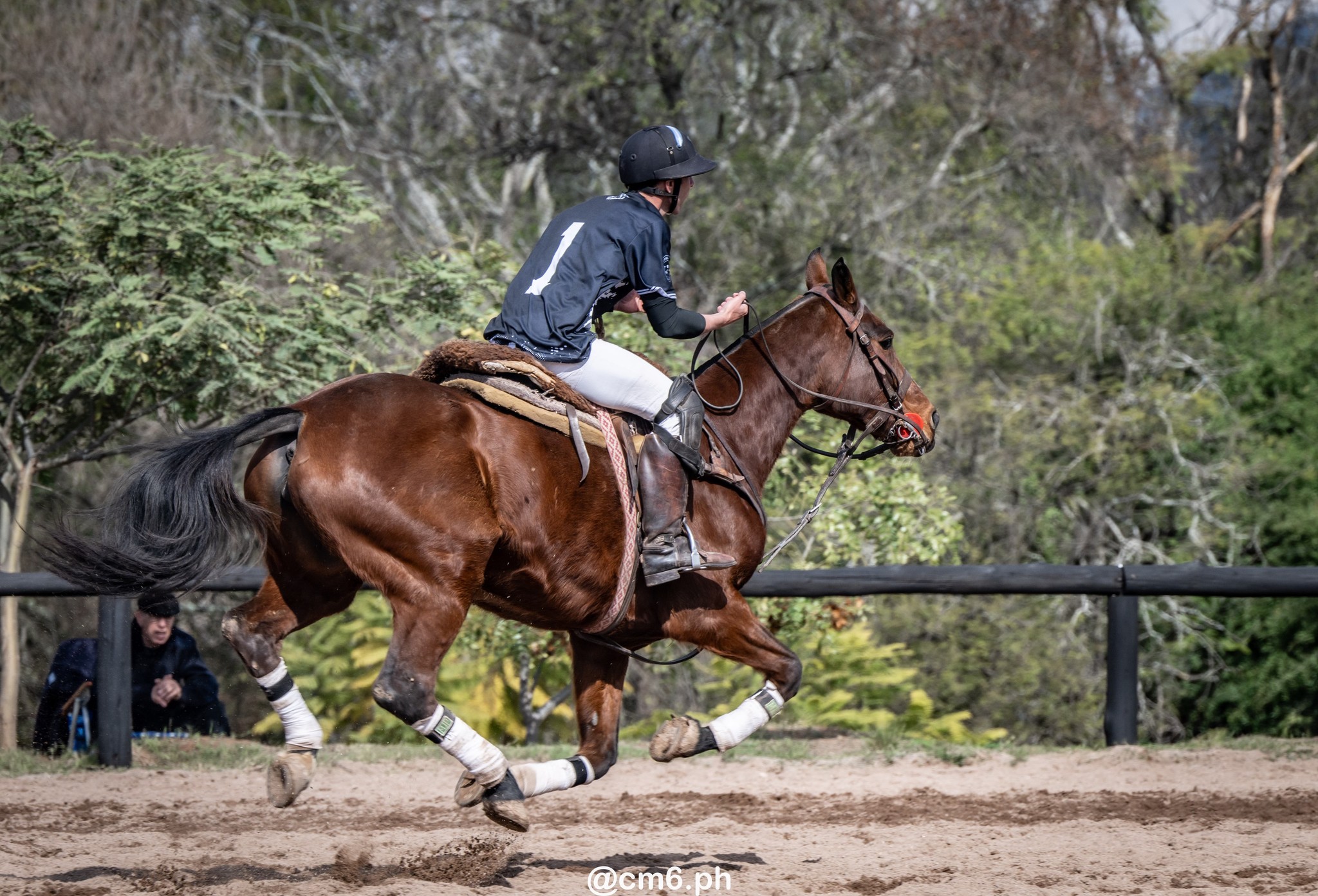   -  - Pato - Torneo Nacional de Pato dia de la Independencia Argentina (#2025PATOINDAR) Photo by: Christian Mas | Siuxy Sports 2025-07-12