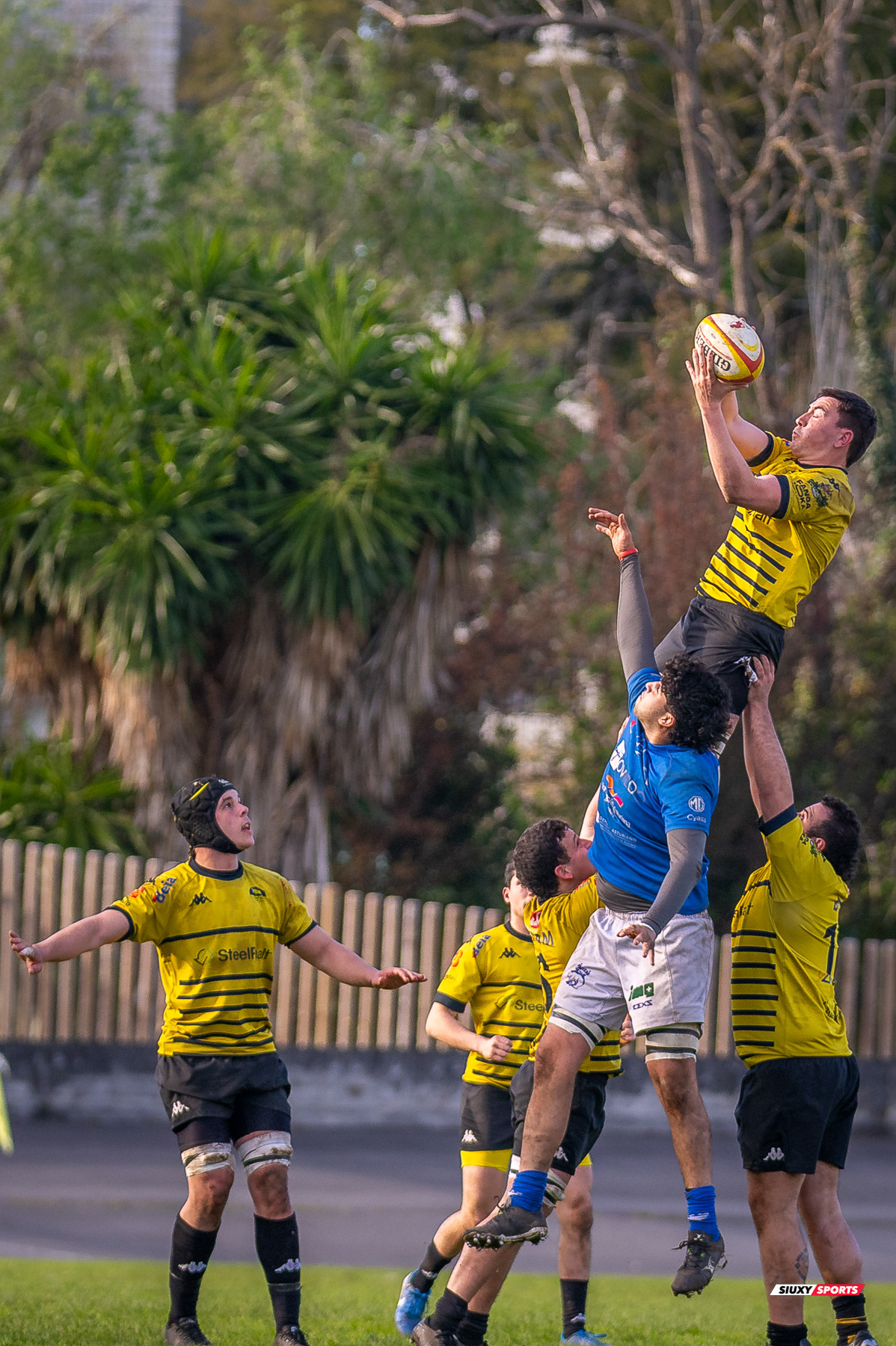  Getxo Artea Rugby Taldea - Real Oviedo Rugby - Rugby - FER 2025 - DHB - Getxo RT (43) vs (19) Oviedo (#FER25DHBGRTOVI03) Photo by: Fredy Monfoto | Siuxy Sports 2025-03-29