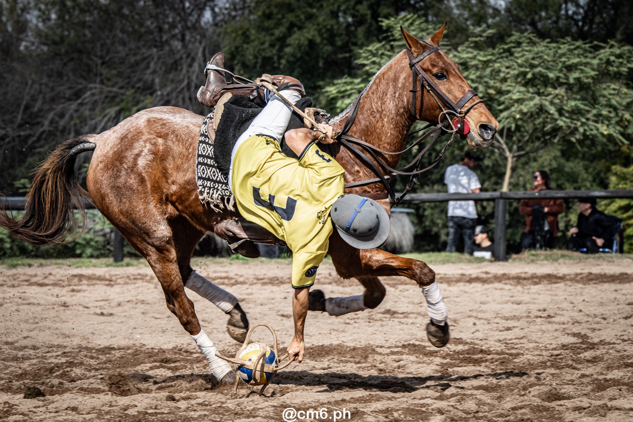   -  - Pato - Torneo Nacional de Pato dia de la Independencia Argentina (#2025PATOINDAR) Photo by: Christian Mas | Siuxy Sports 2025-07-12