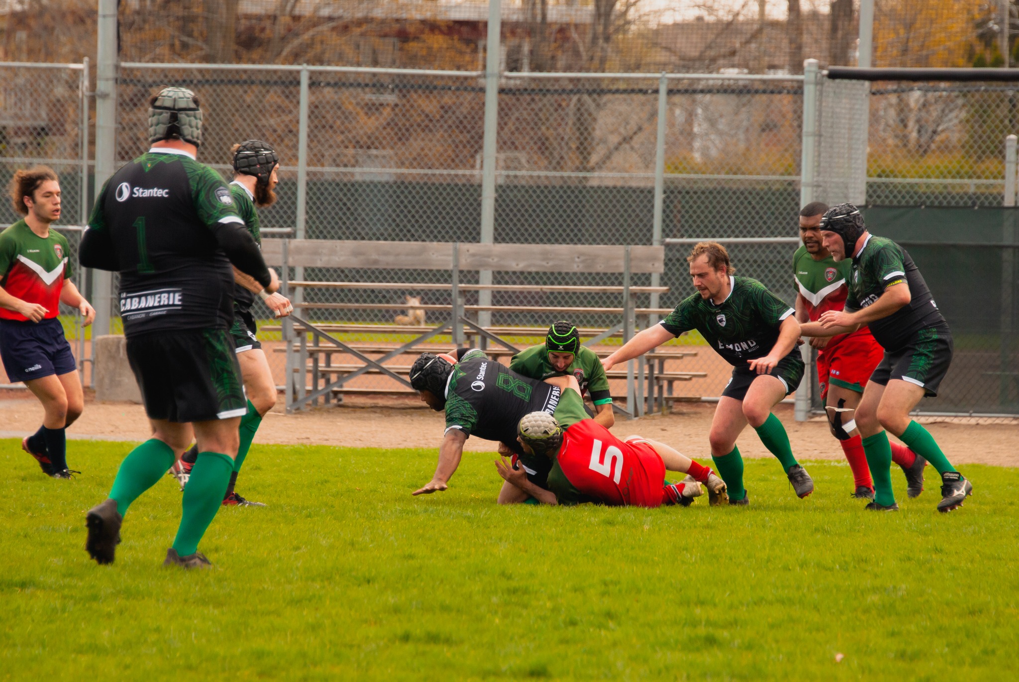  Club de rugby Nomades de Laval - Rugby Club de Montréal - Rugby - RQ 2024 - LPR2 - Nomades vs RCMXV (#RQ24LP2NOMRCX) Photo by: Coraline Brochet | Siuxy Sports 2024-05-04