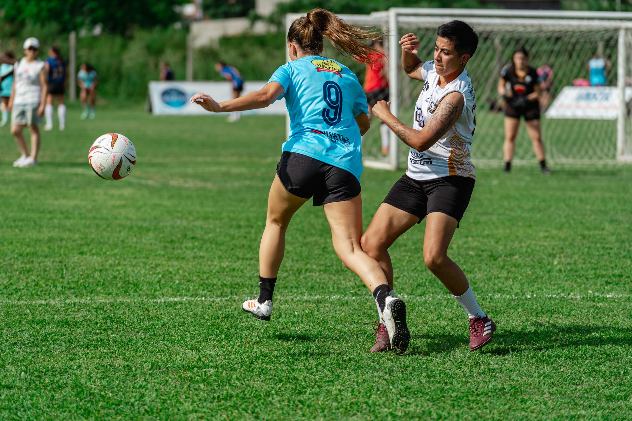  Equipo 0055 -  - Soccer - TLCF 2024 - Futbol - 13a Fecha Torneo Clausura 2024 B (#TLCF24F13TCB) Photo by:  | Siuxy Sports 2024-11-16